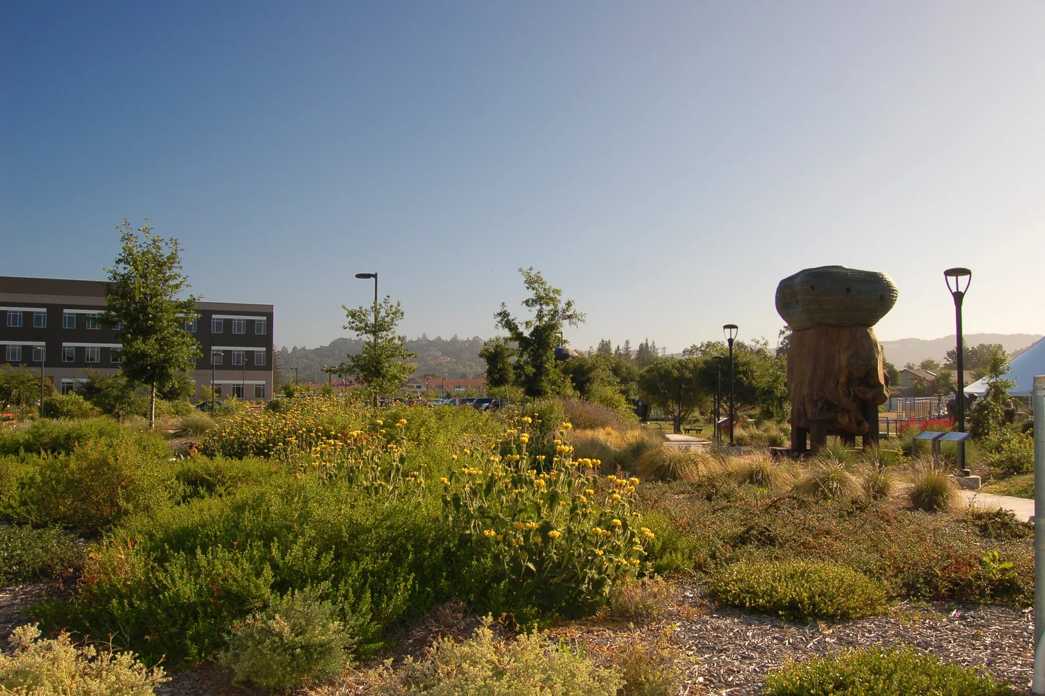 Sutter Santa Rosa Regional Hospital — QUADRIGA