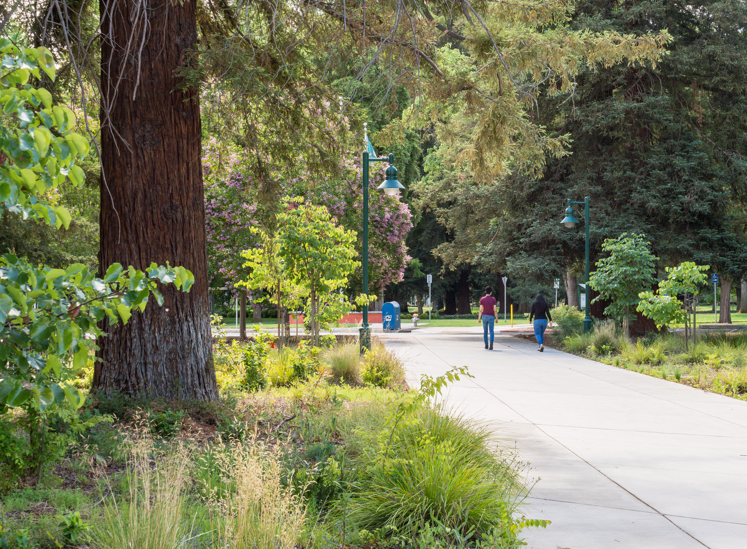 Sac State Welcome Center-Quadriga WEB3.jpg