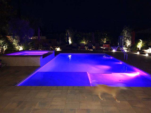 Lighting is SO important! Take the time to plan your pool lighting! ~
~
#bubblesprings #bubblespringspoolconstruction #poolsofinstgram #poollighting #purple #blue #coachella #belgard #pentair #colorlights #globrite #💜 #palmtrees #coolbreeze #pugglep