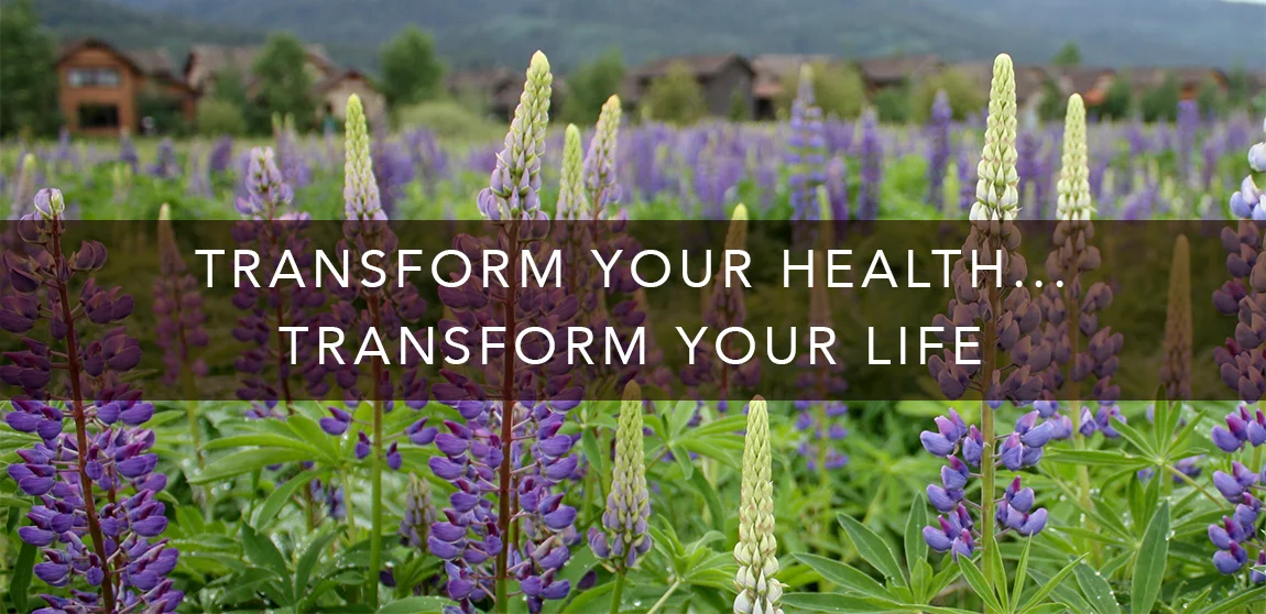 Erin Borbet Transform Your Health.jpg