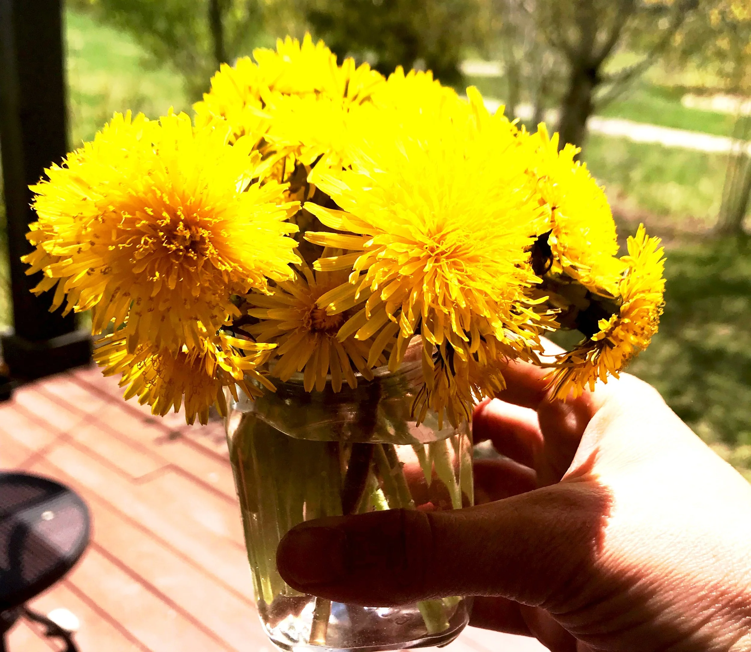 Natural Relief for Seasonal Allergies