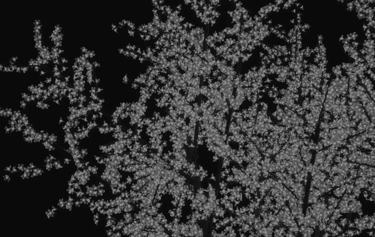 Cover Image 1.jpg