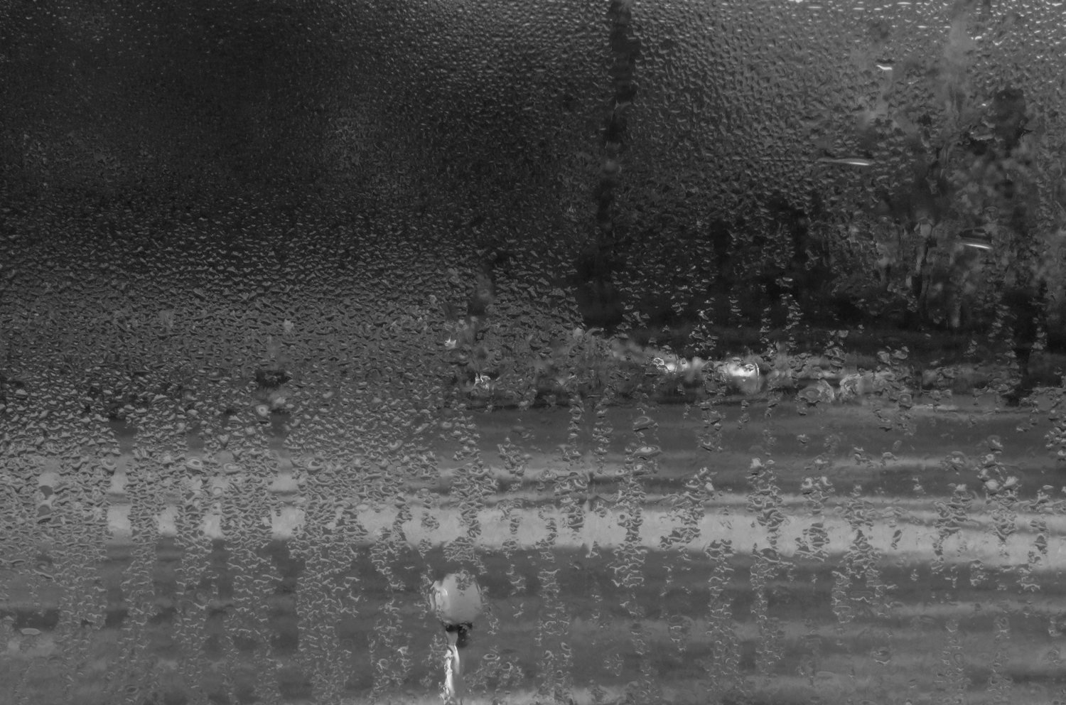 Cover Image 3.jpg