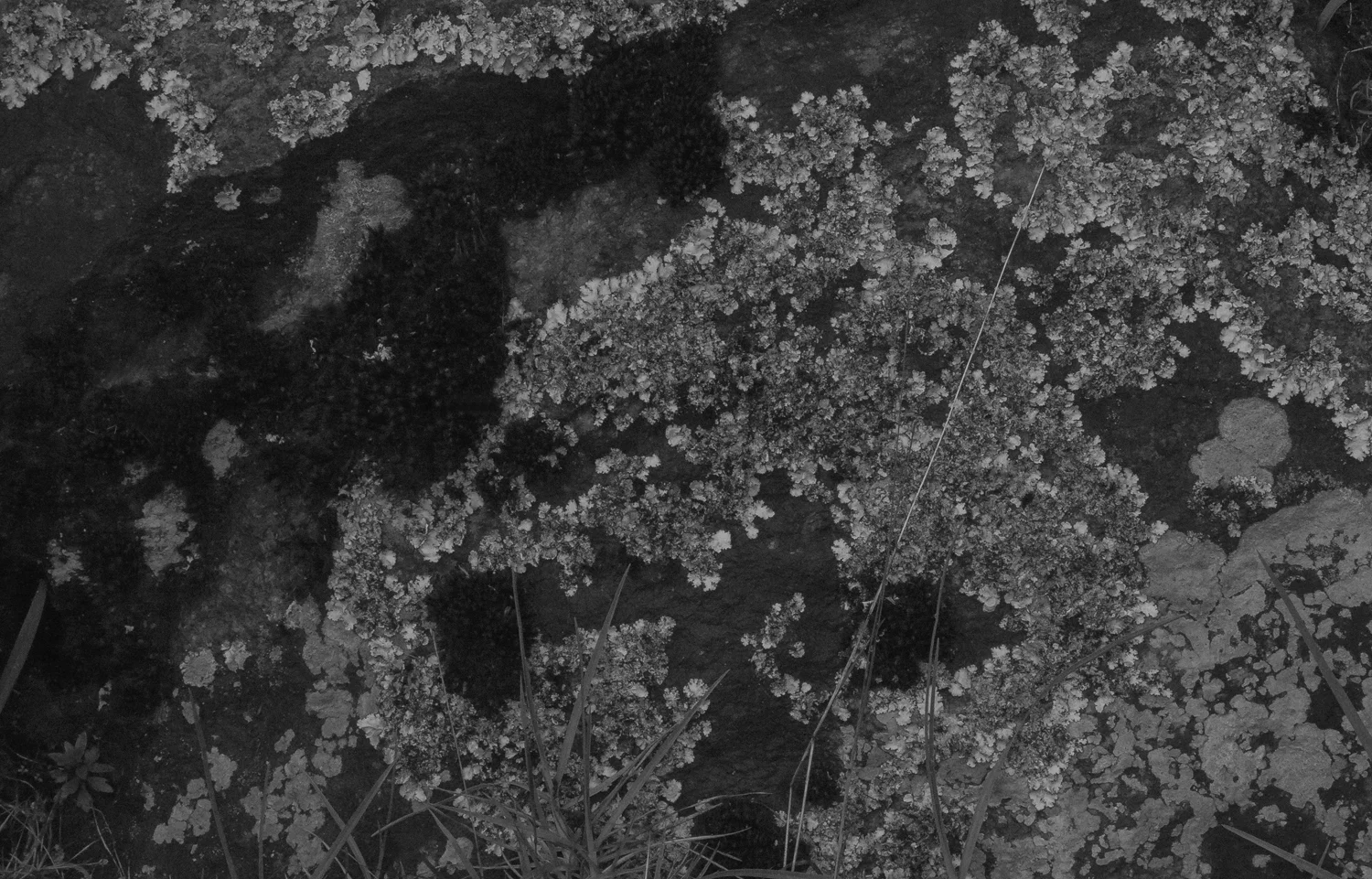 Cover Image 5.jpg