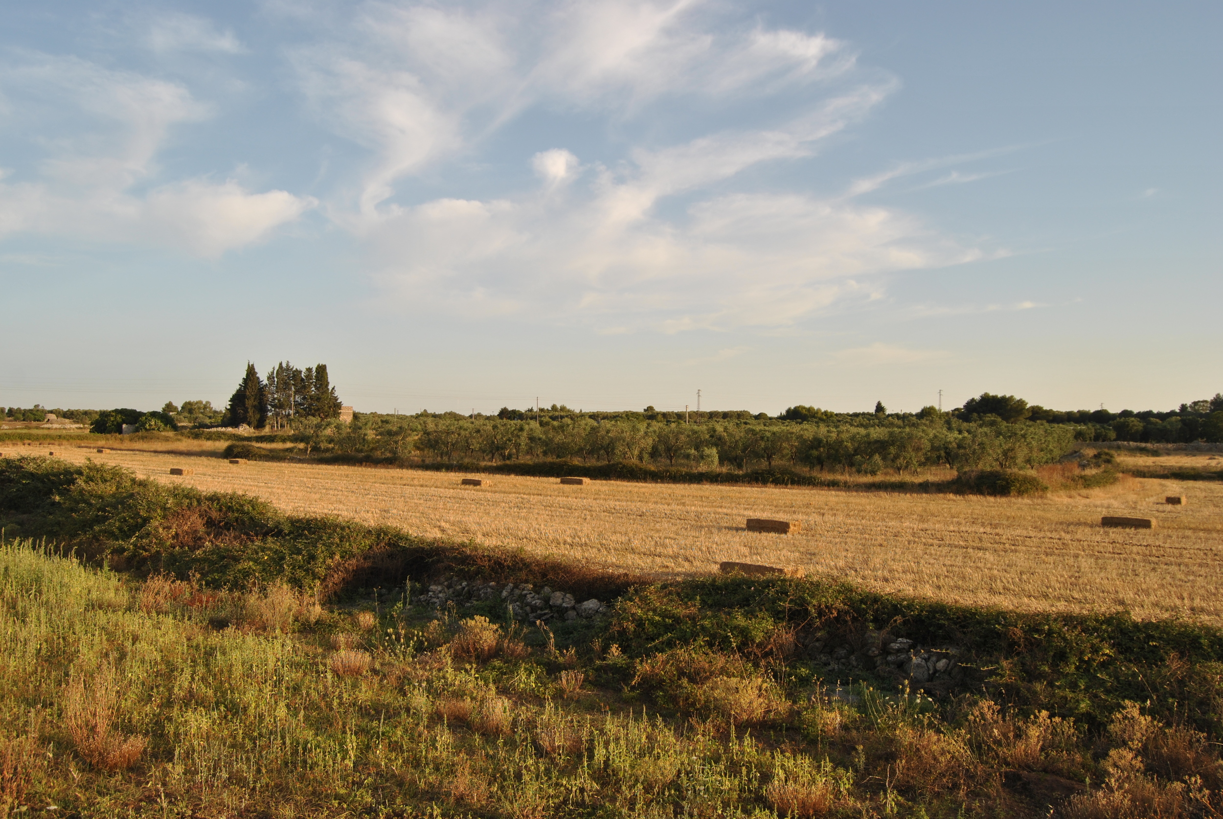 Sud-Est Apulia Salento Puglia Nature