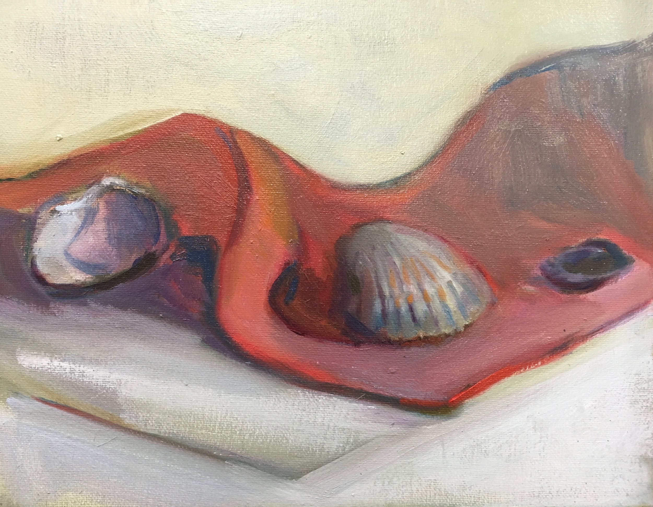 Shells on red cloth