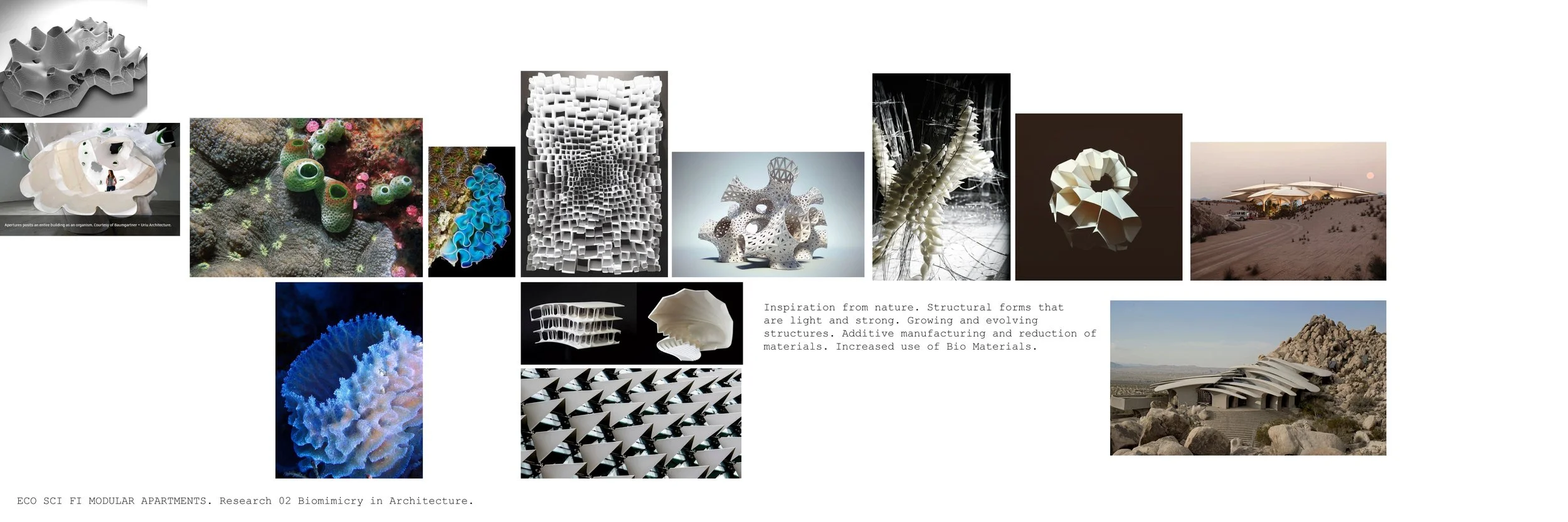 Eco Modular Apartment Research 02 Biomimicry in architecture.jpg