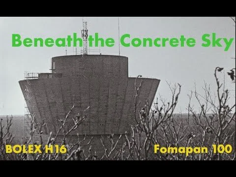 Beneath the Concrete Sky