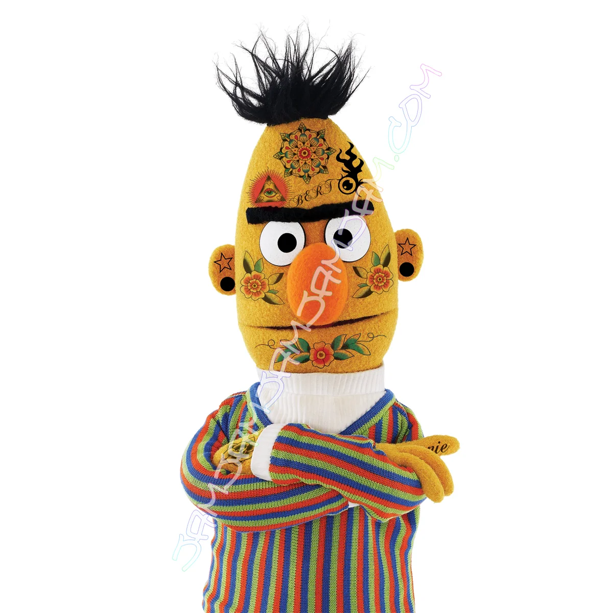 bert web.jpg