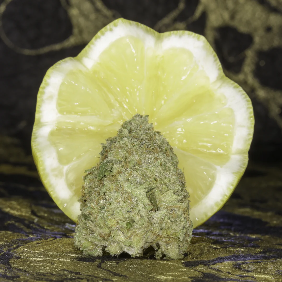 Golden Lemons.jpg