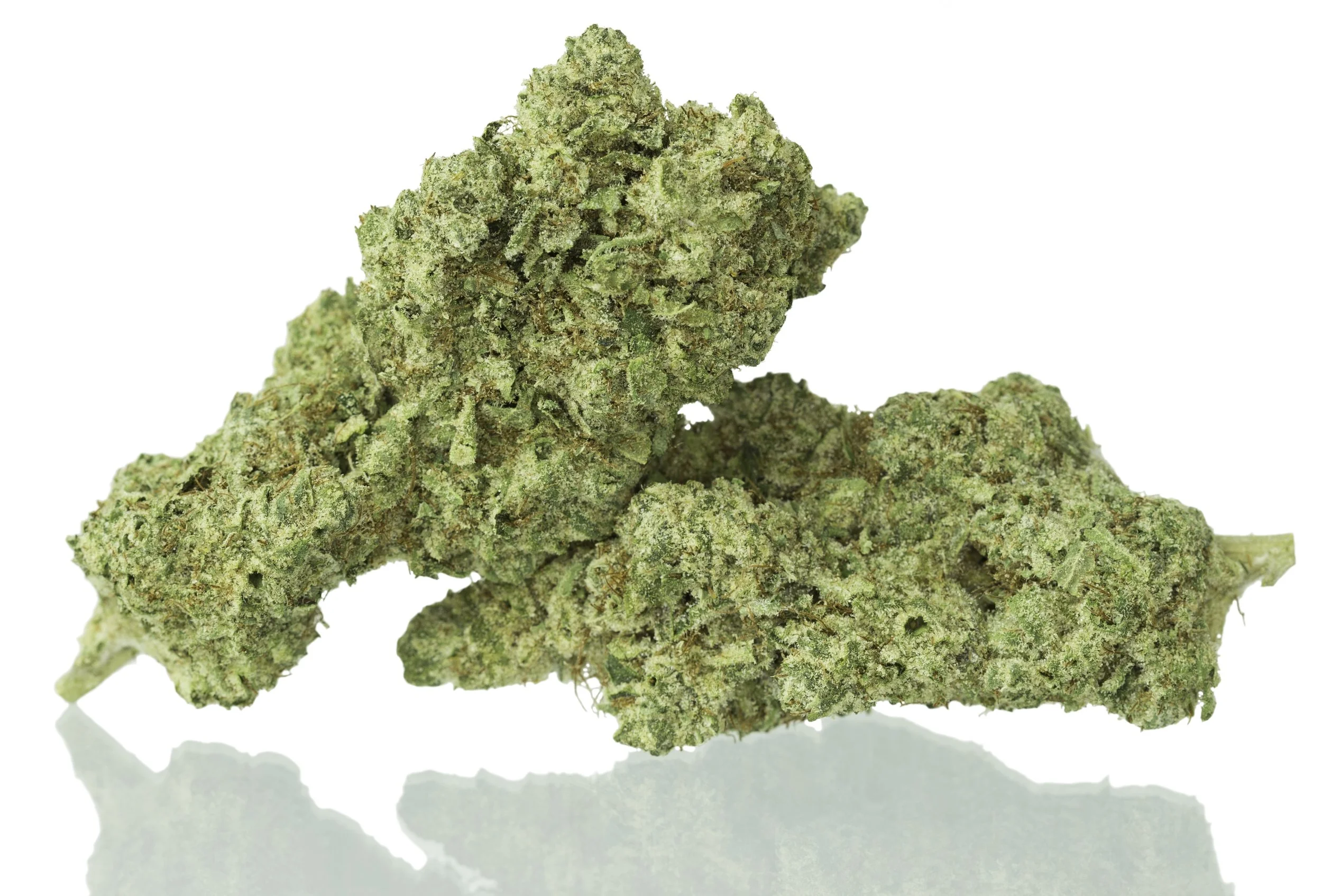 Ogre OG is incredibly pungent strain with gassy, earthy flavors.