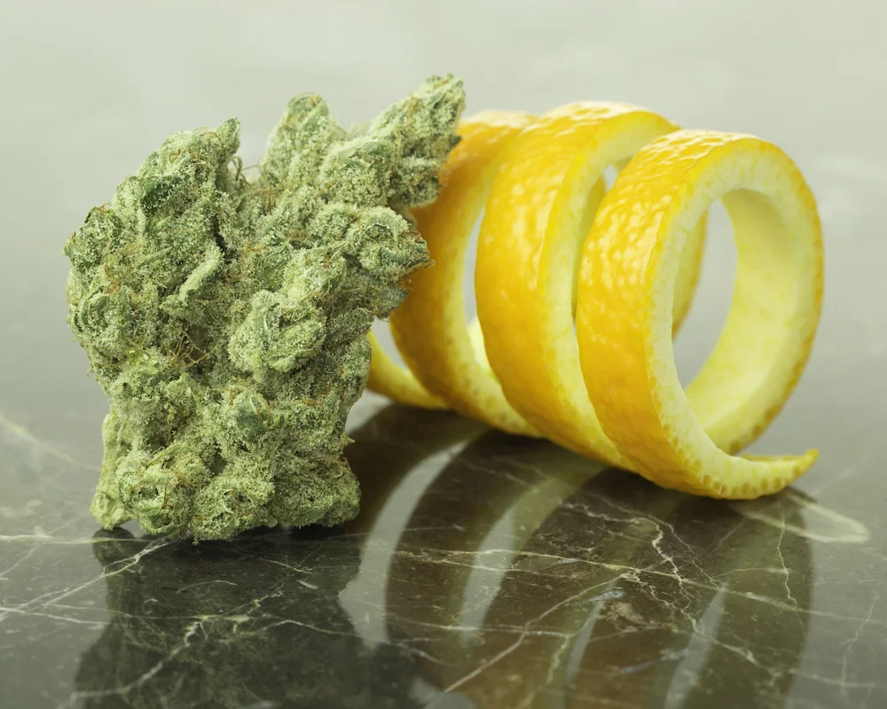 Orange_Tree_Social_012518.jpg