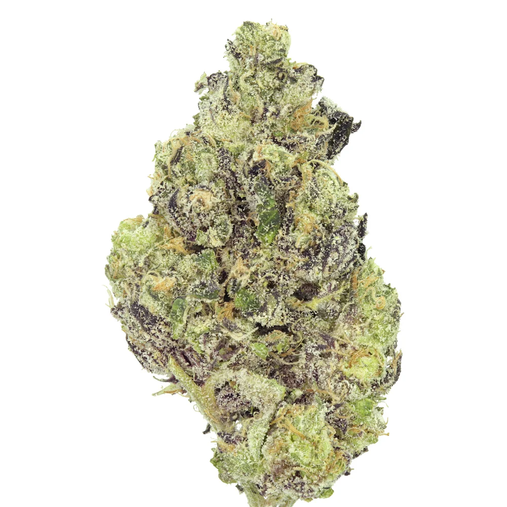 Rainbow Sherbet_060717_SQ.jpg