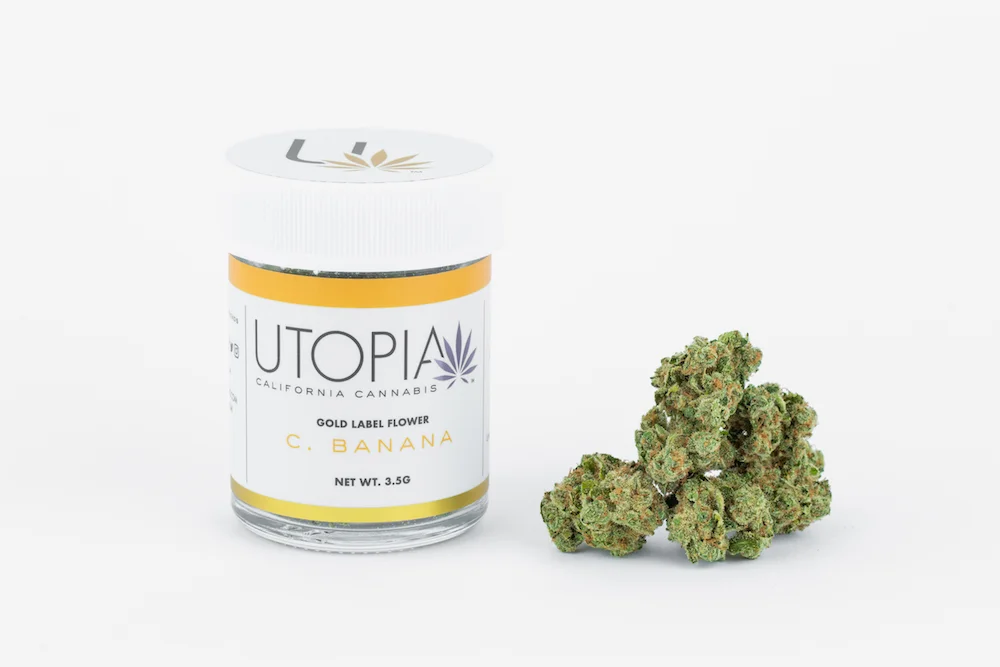 Utopia_April_18_HIGH_RES-44.jpg