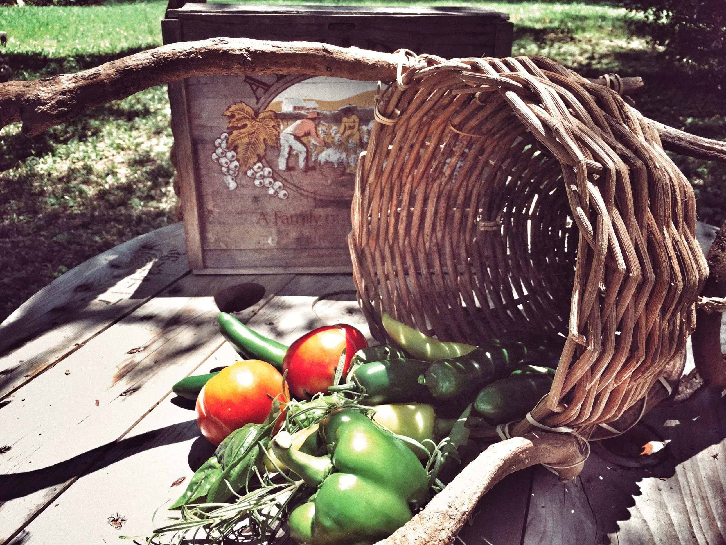 THE HARVEST