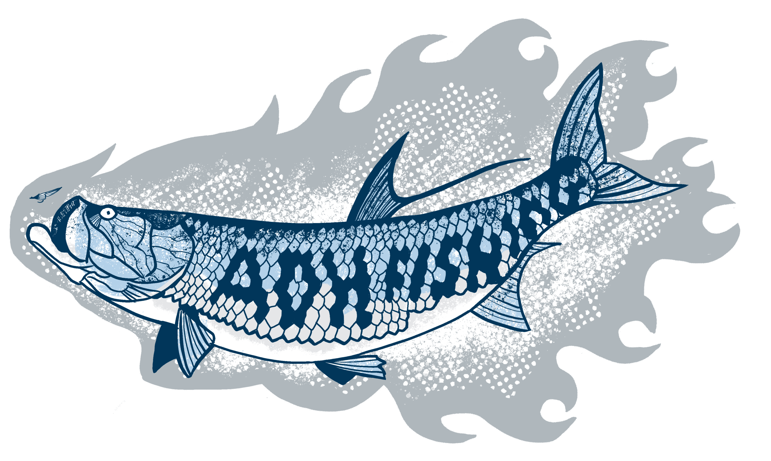tarpon.png