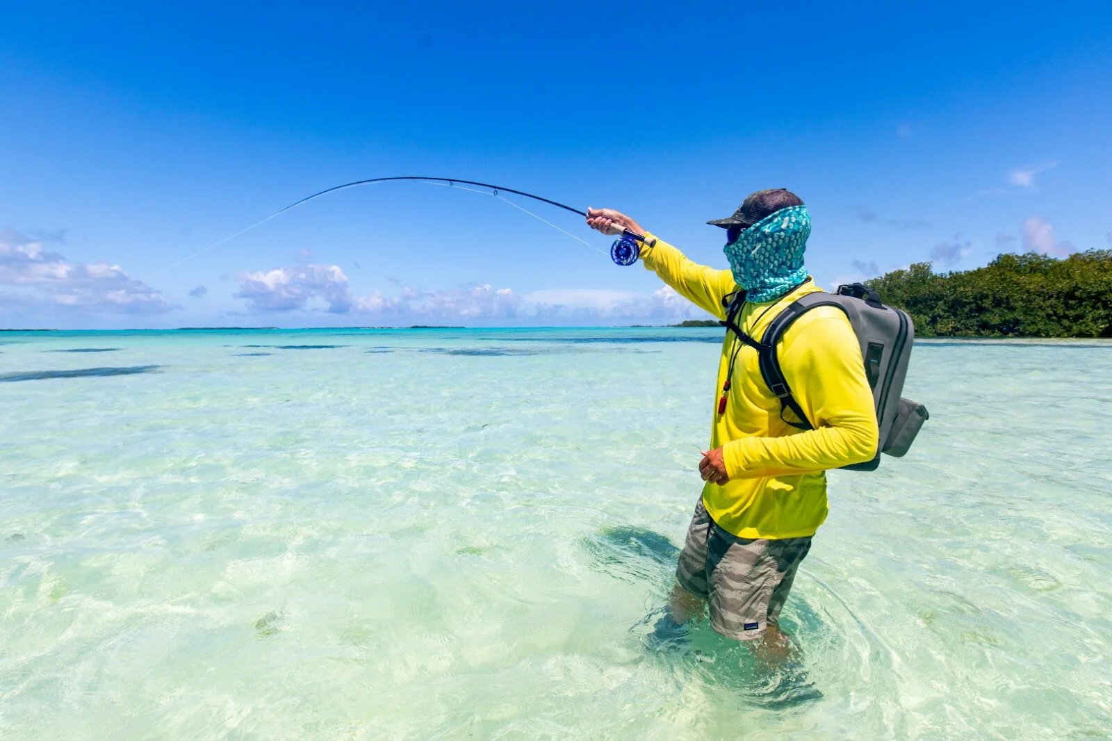 WhatsApp Image 2020-04-21 at 12.50.21.jpeg