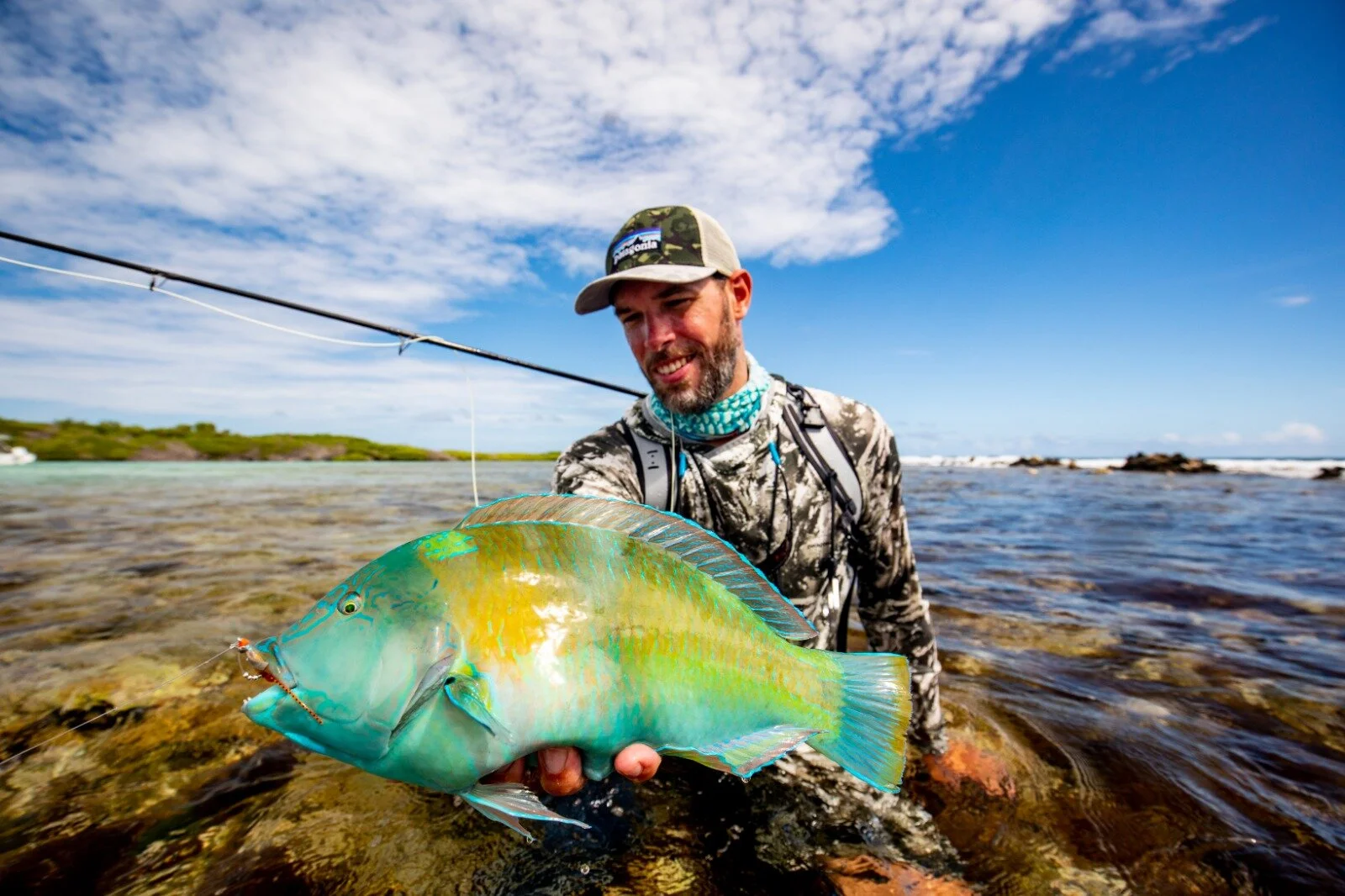 WhatsApp Image 2020-04-21 at 12.49.47.jpeg