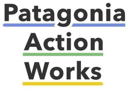 patagonia+action+works.jpeg