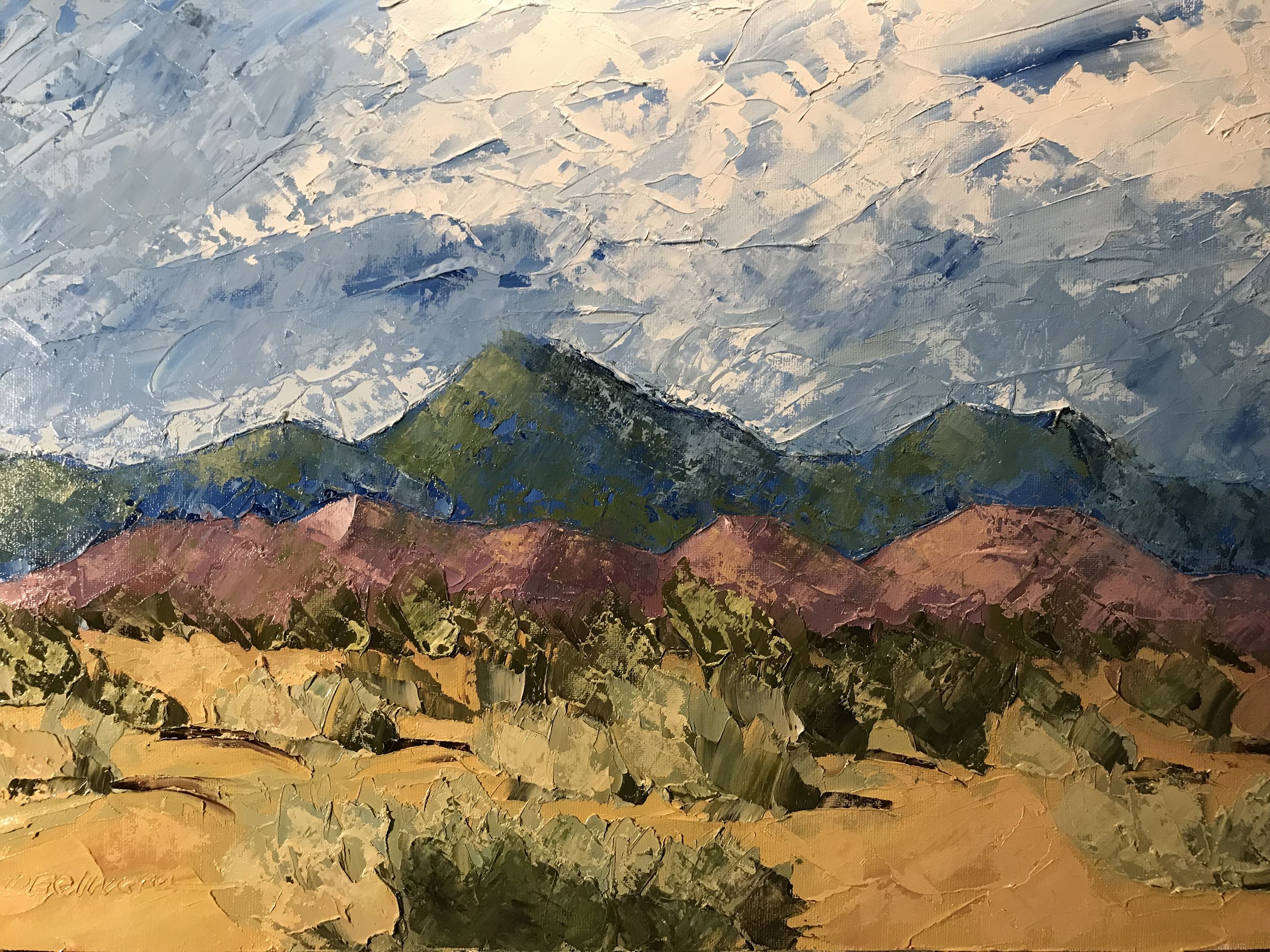 "New Mexico Desert"