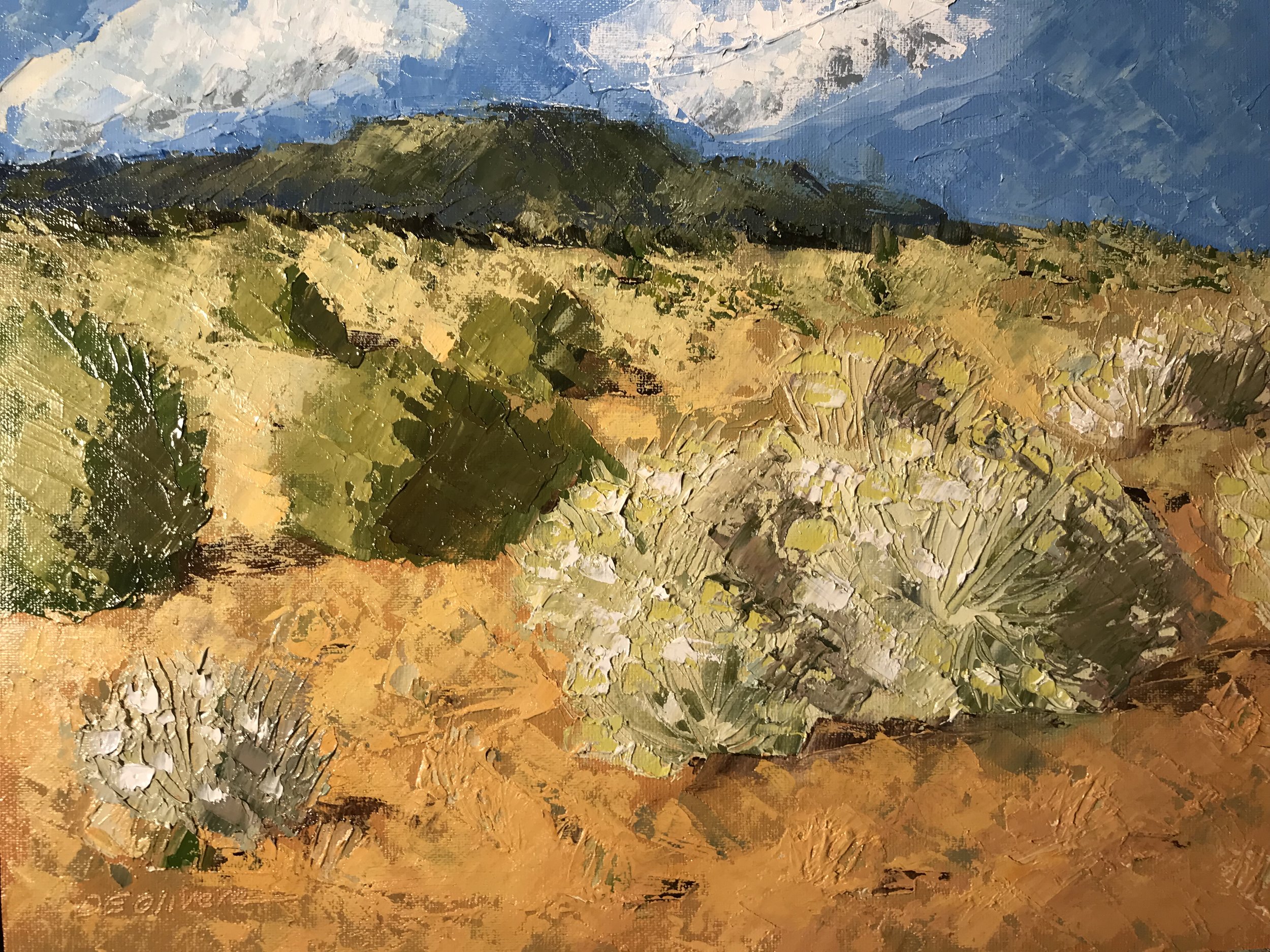 "Chimayo Desert"