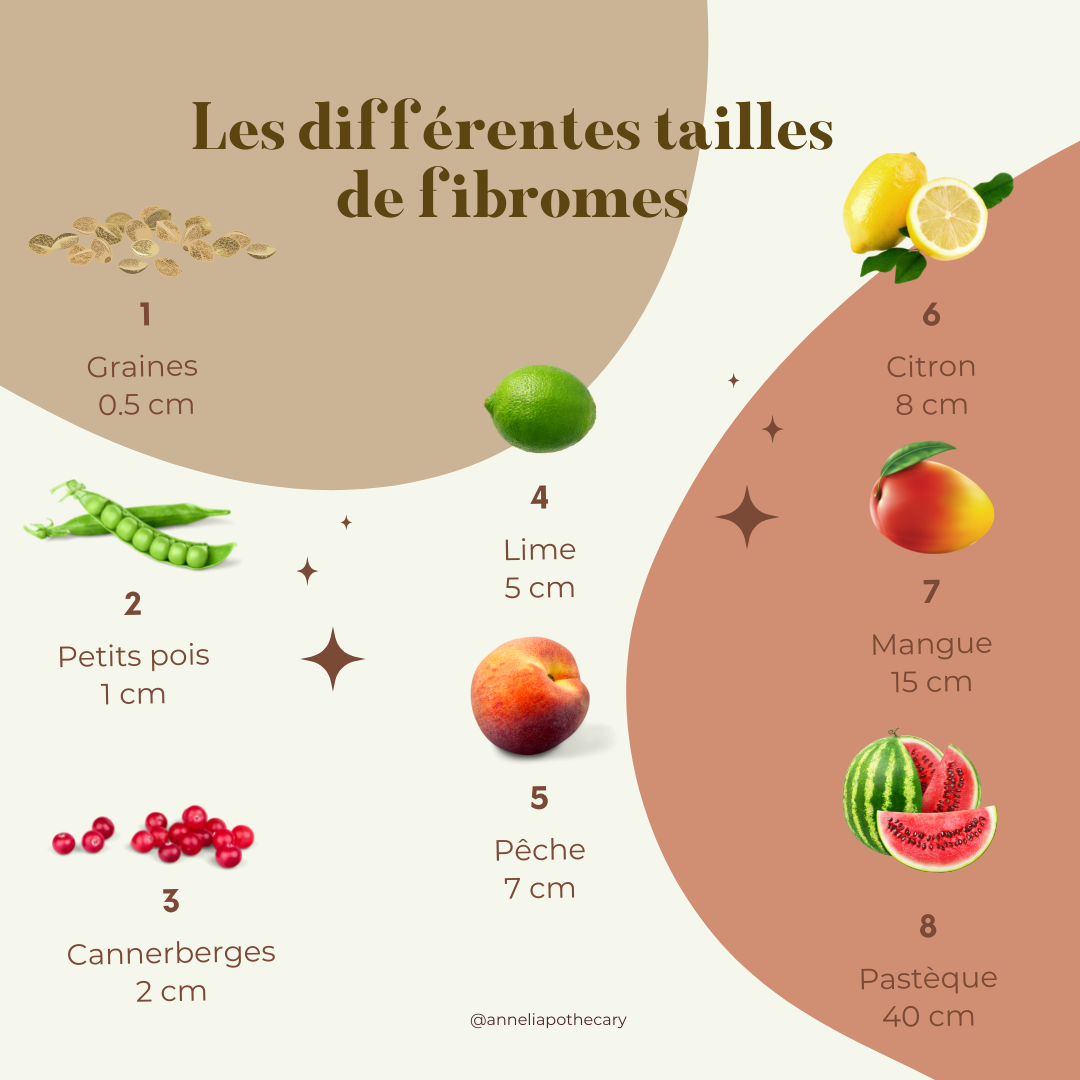 Plantes et fibromes utérins — Ann & Eli Apothecary