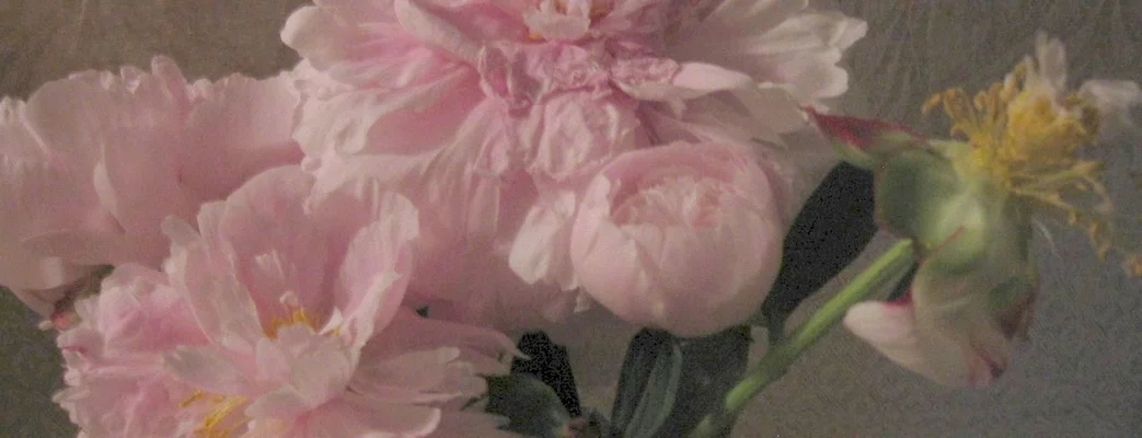Peonies