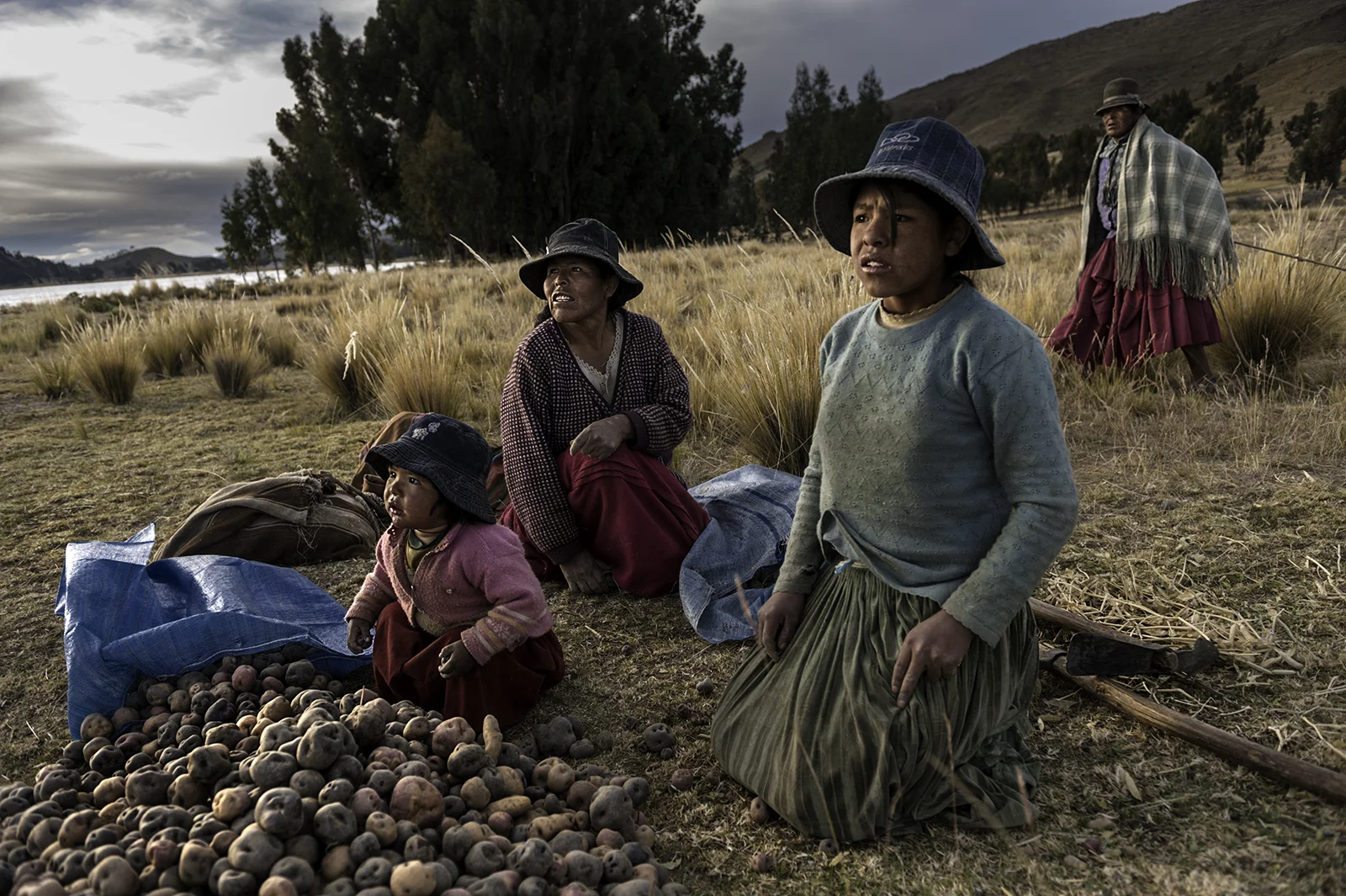 Generation of Farmers