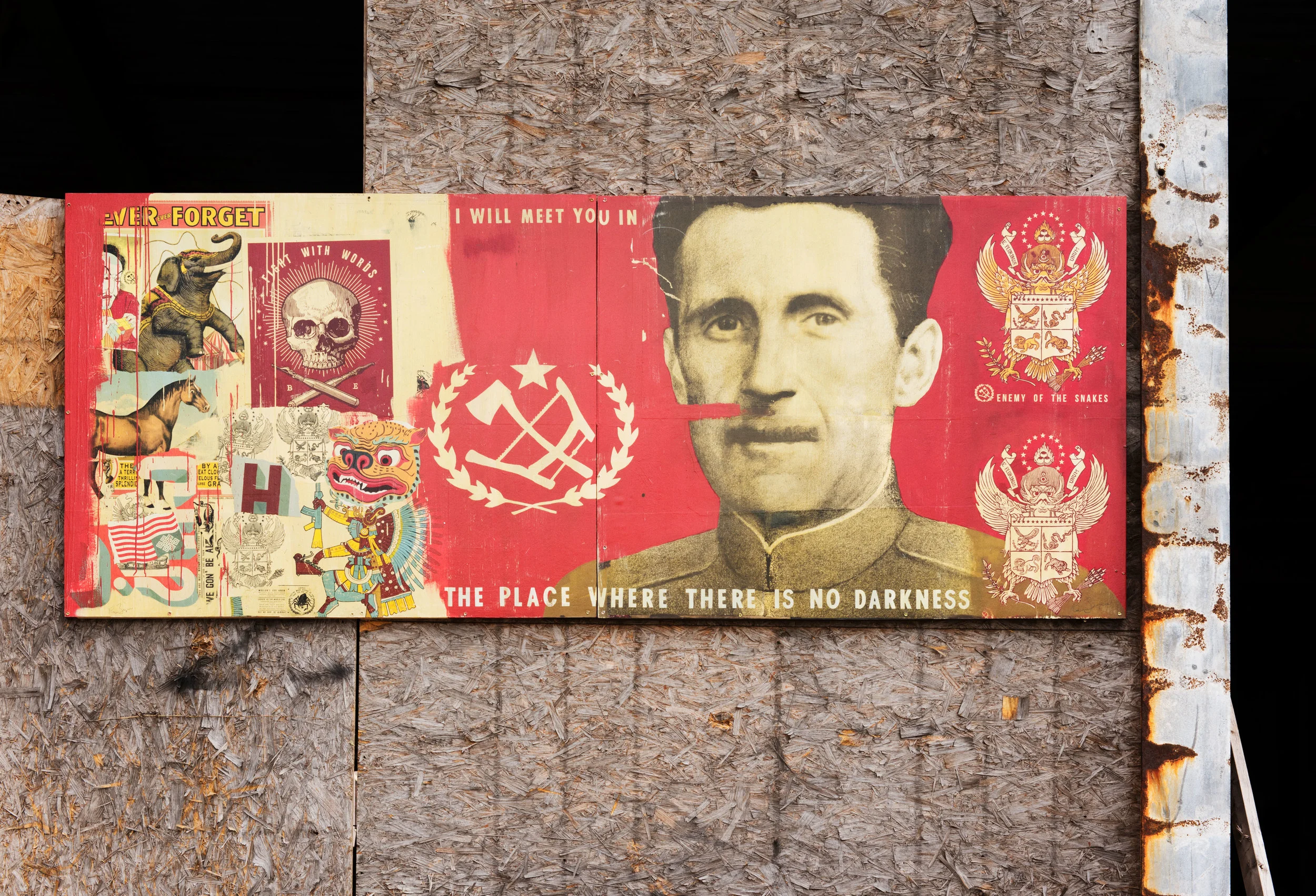 Ravi Zupa