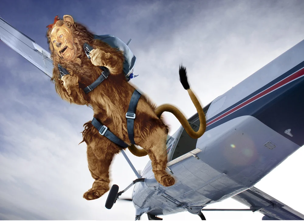 wsj-cowardly-lion-skydives.jpg