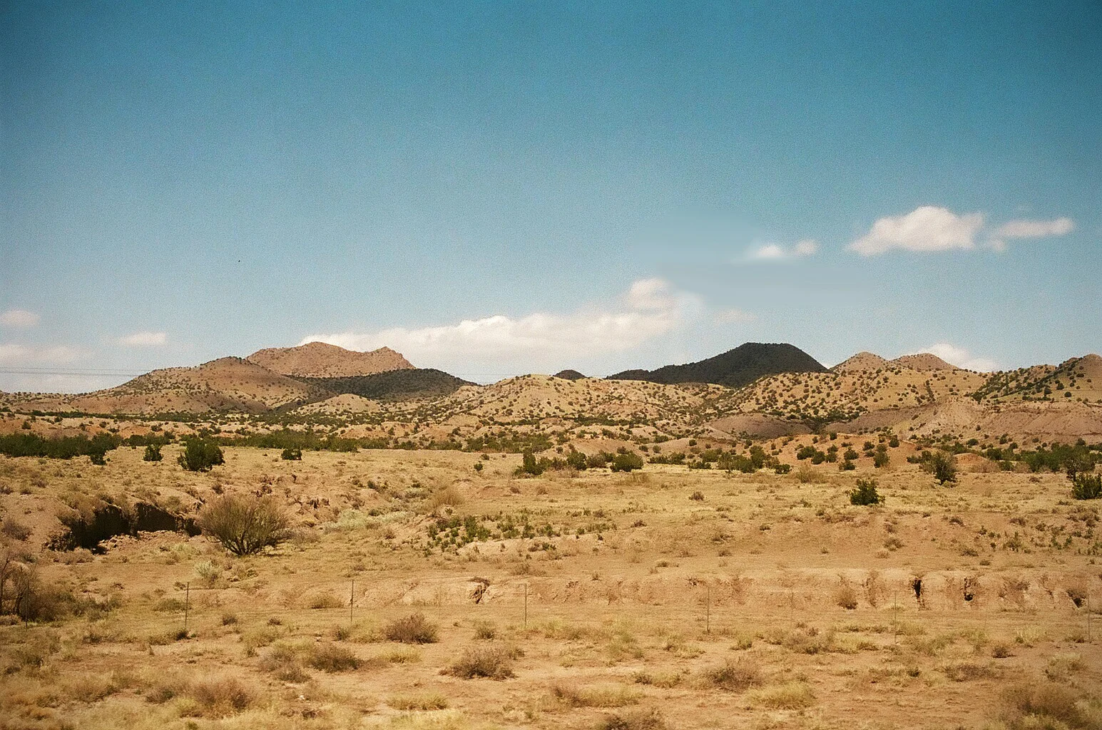 47390013 copy.jpg