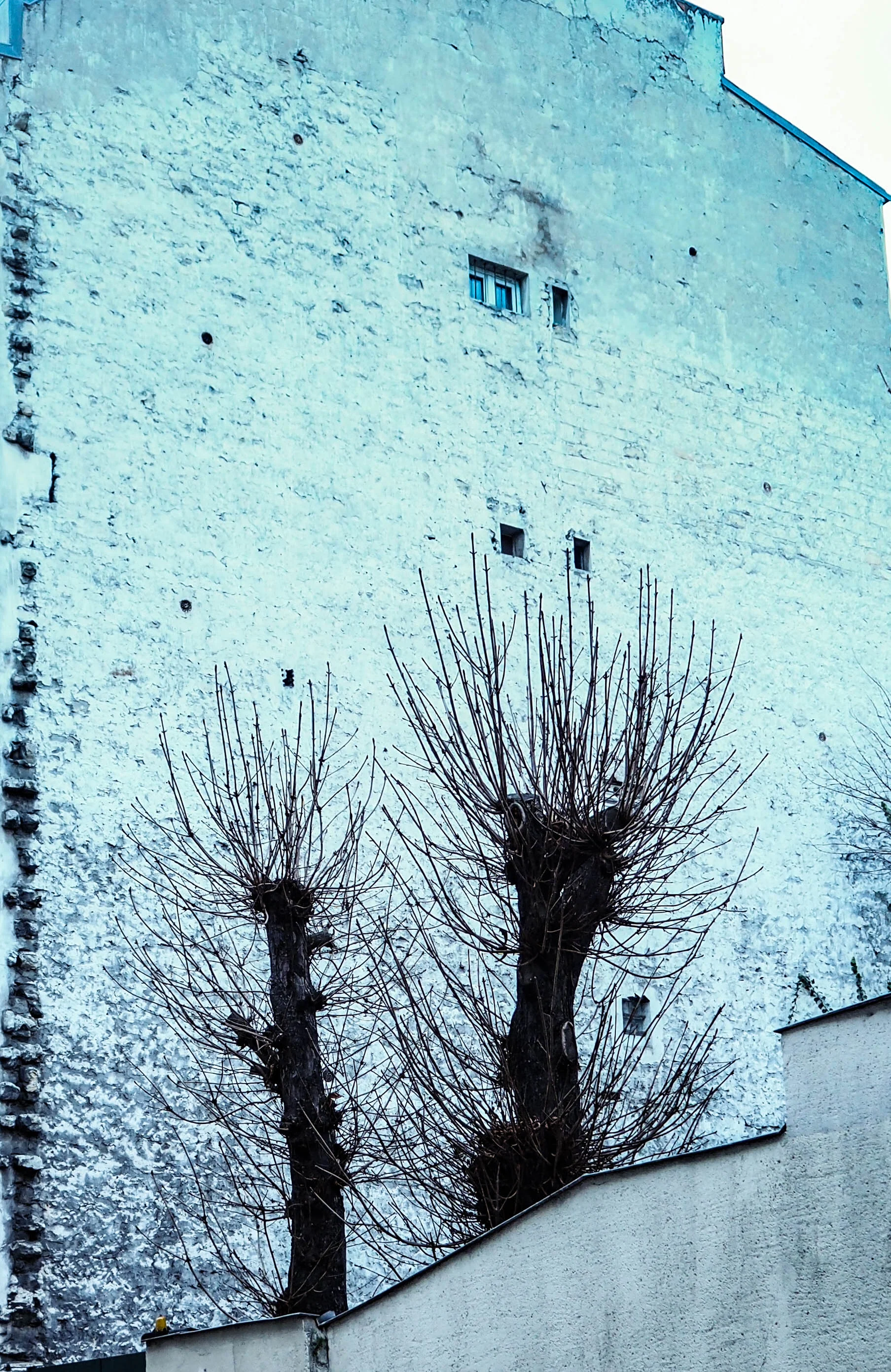 P1130806 2-155.jpg