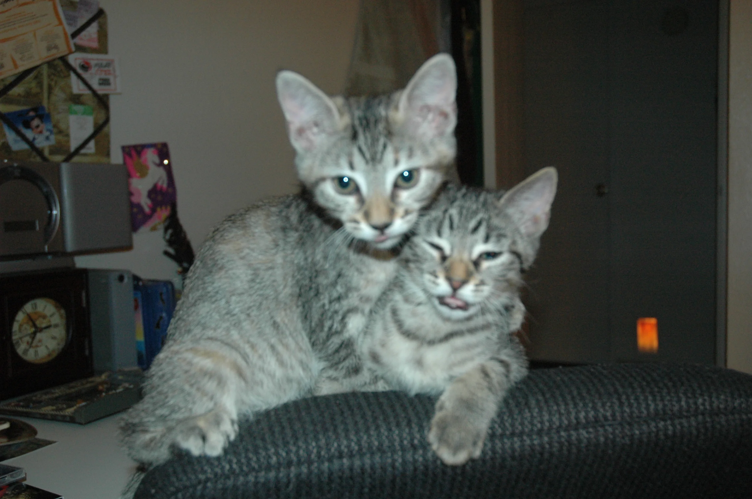 DSC_7573.JPG