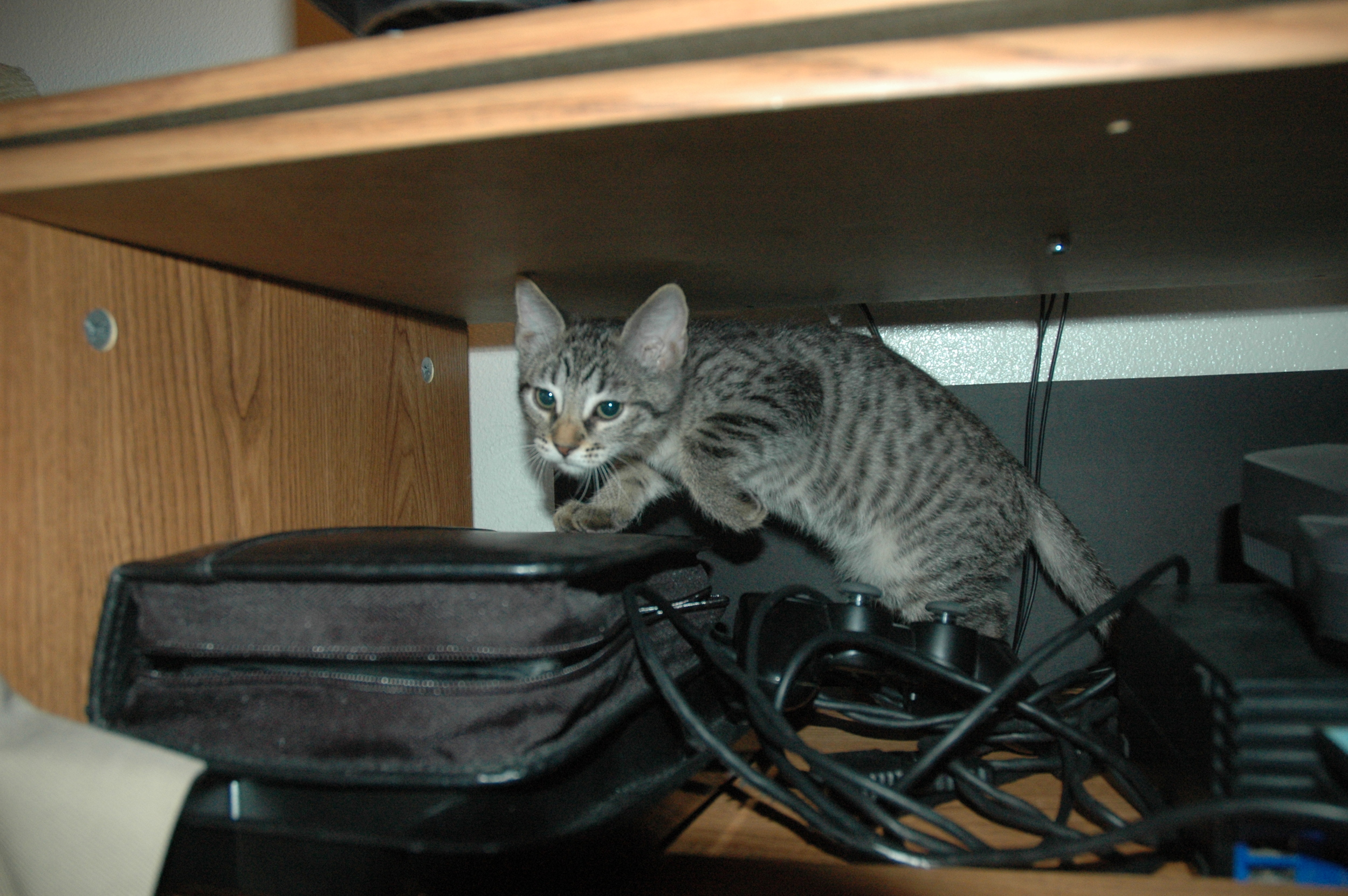 DSC_7589.JPG