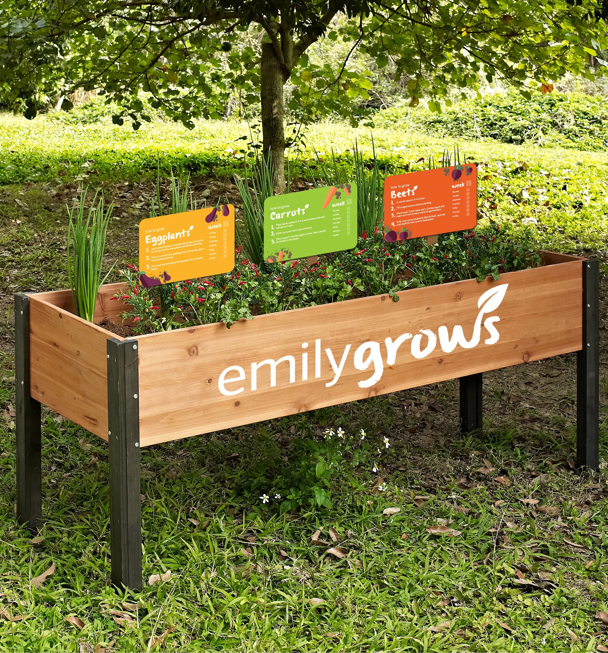 Community Garden Signage Mock up