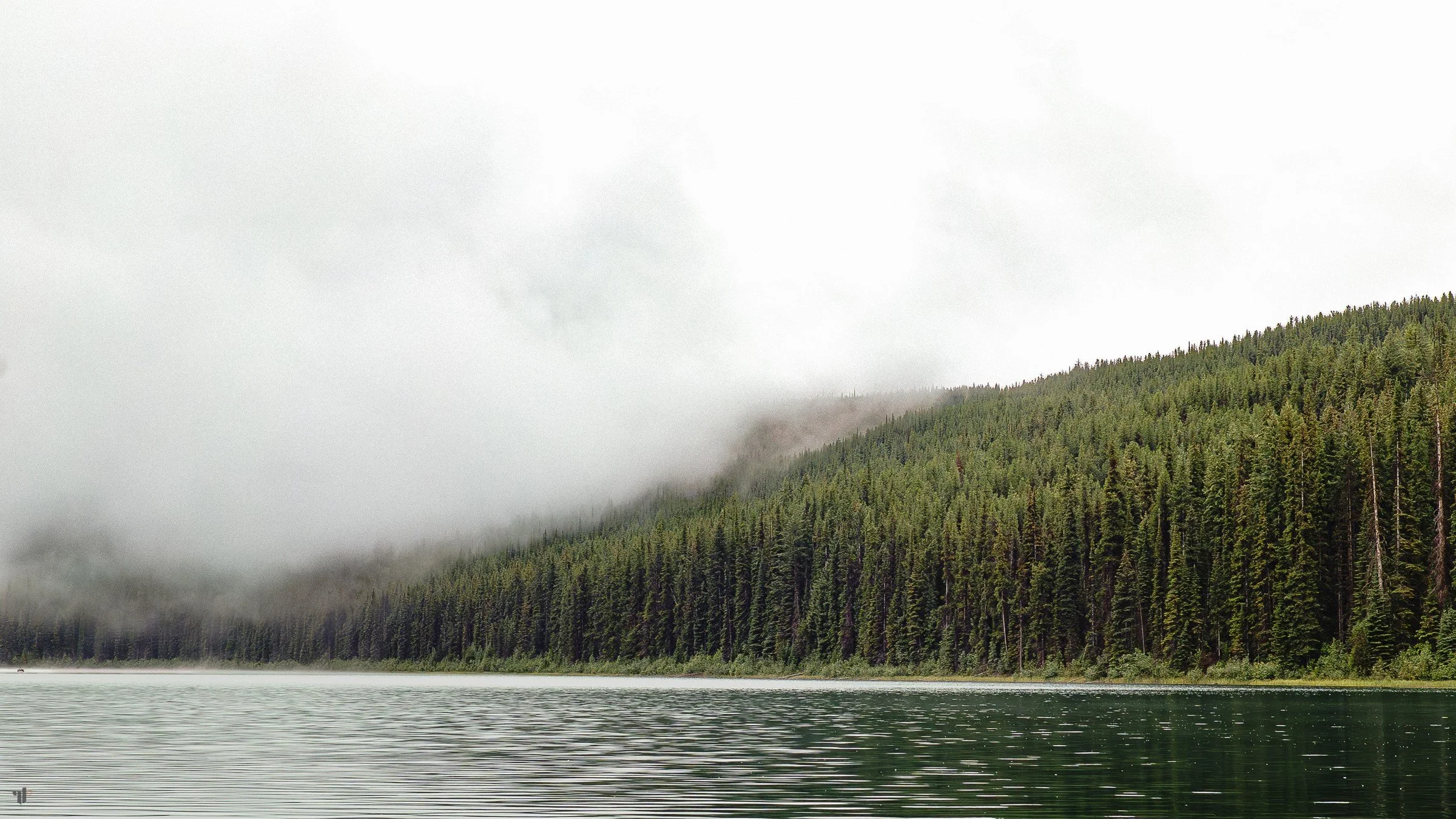 Low cloud hangs over a forested shore reflected in a quiet lake.