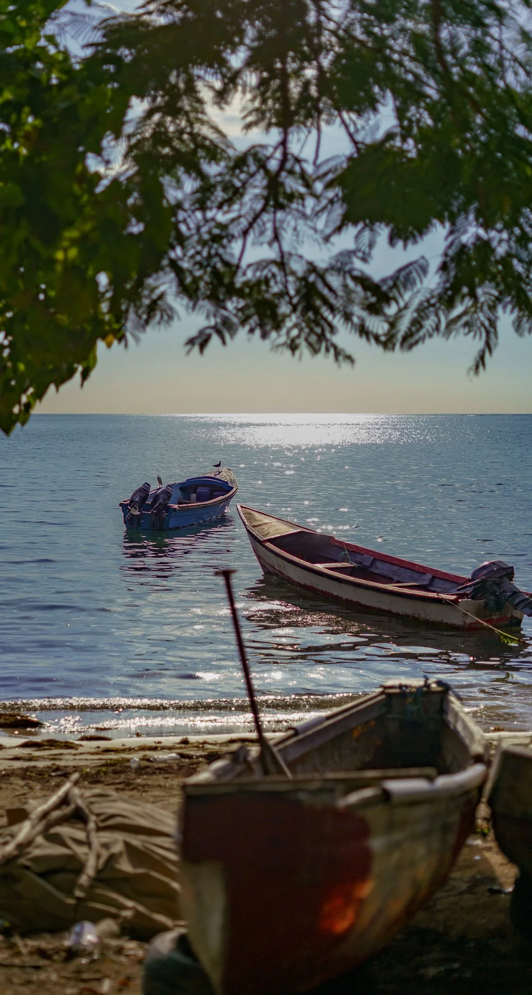 Resting where the day slows.