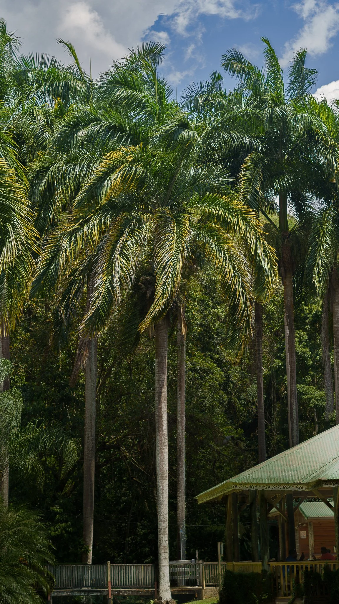 Stillness with edges.