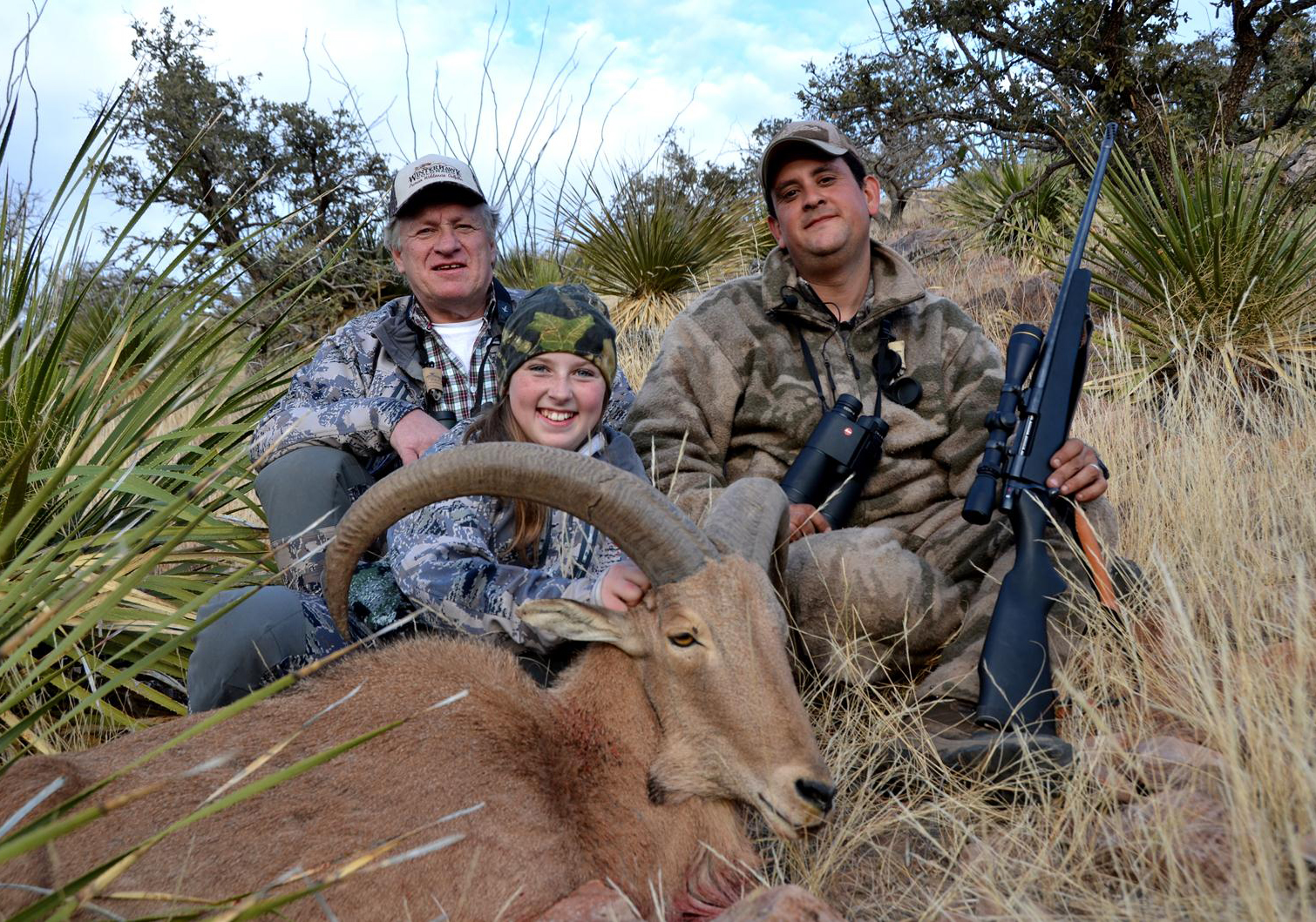 Aoudad.JPG