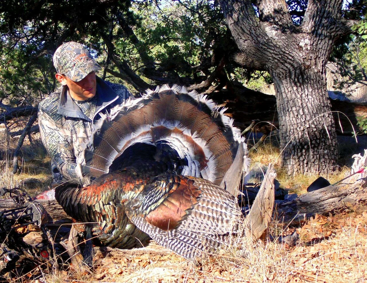 Foto 24-02-16 11 52 26 a.m..jpg