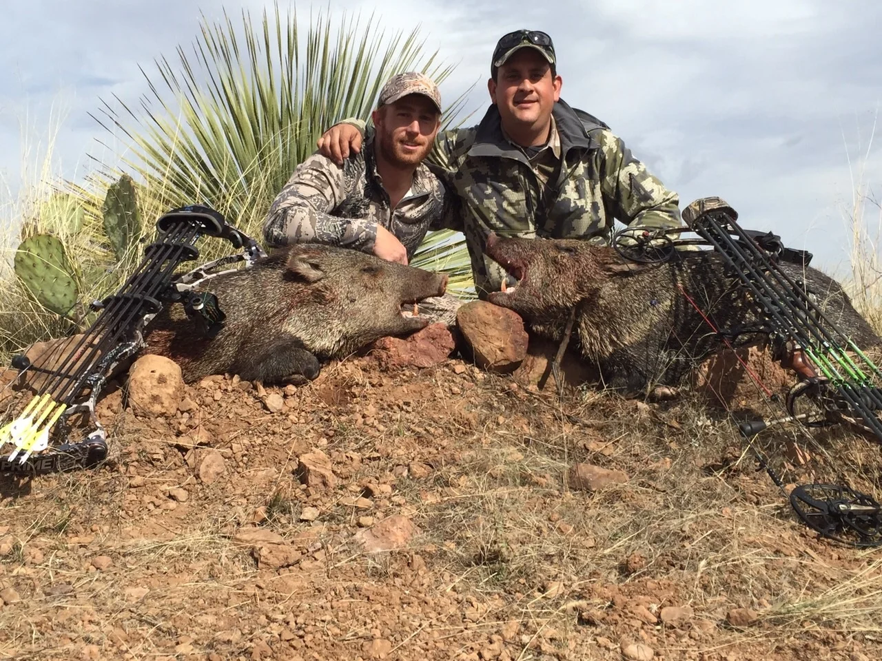 Foto 21-01-15 11 03 09 a.m..jpg