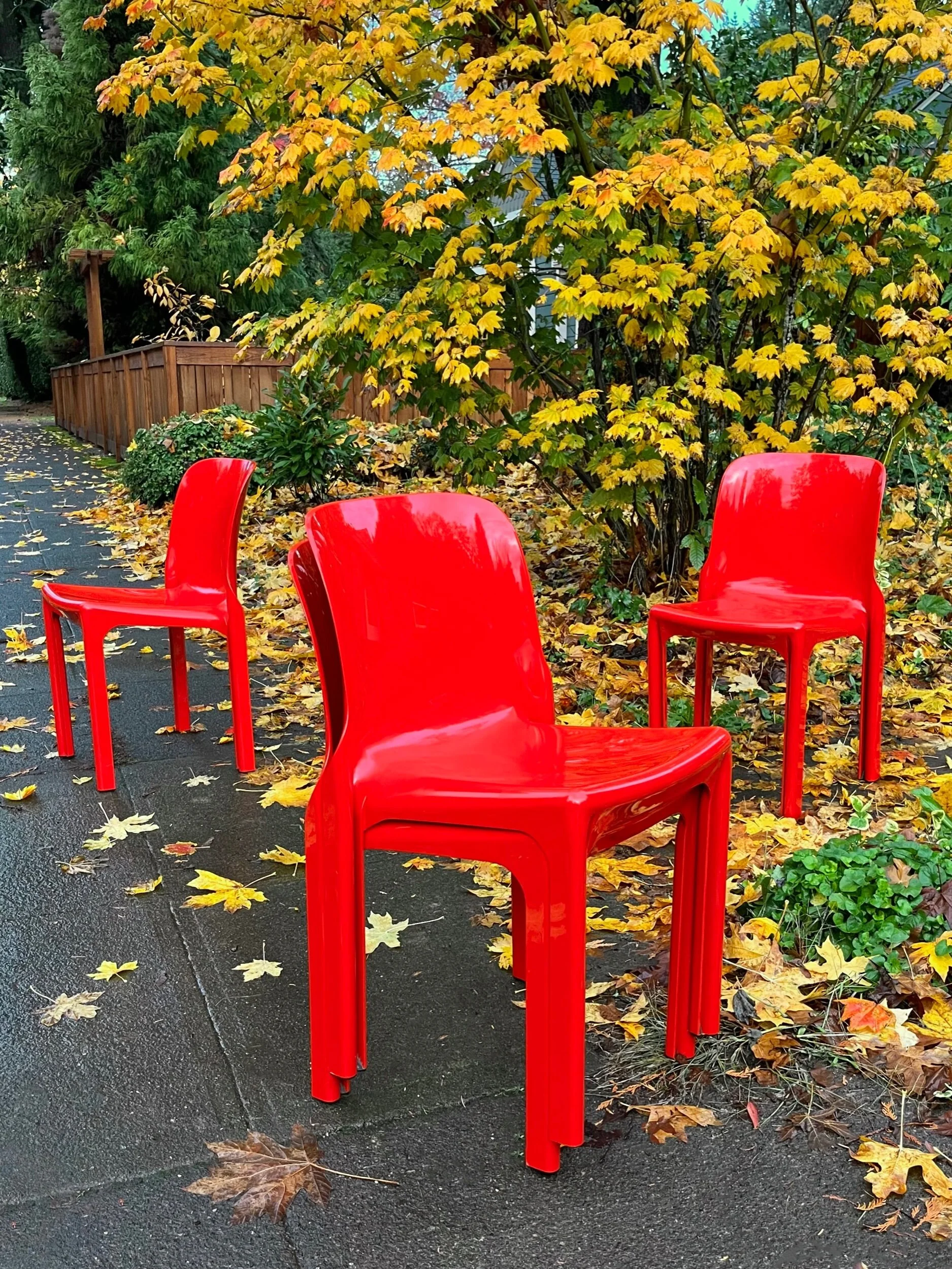 D9007488-006E-4C86-B39A-2399CDAC6C2F