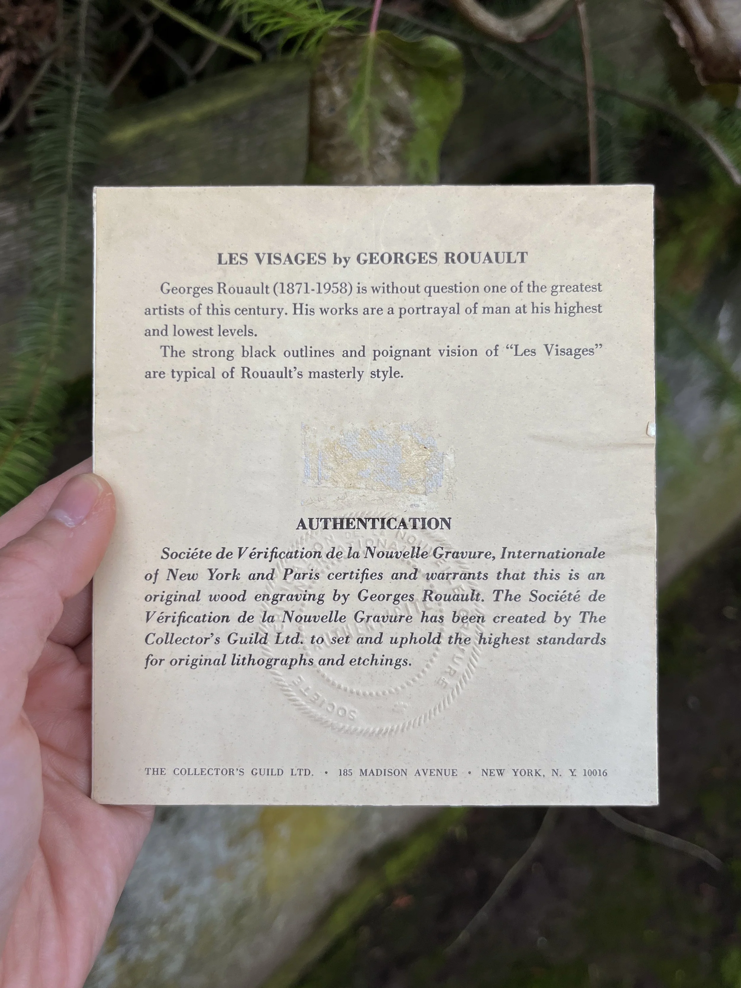 cert.jpg