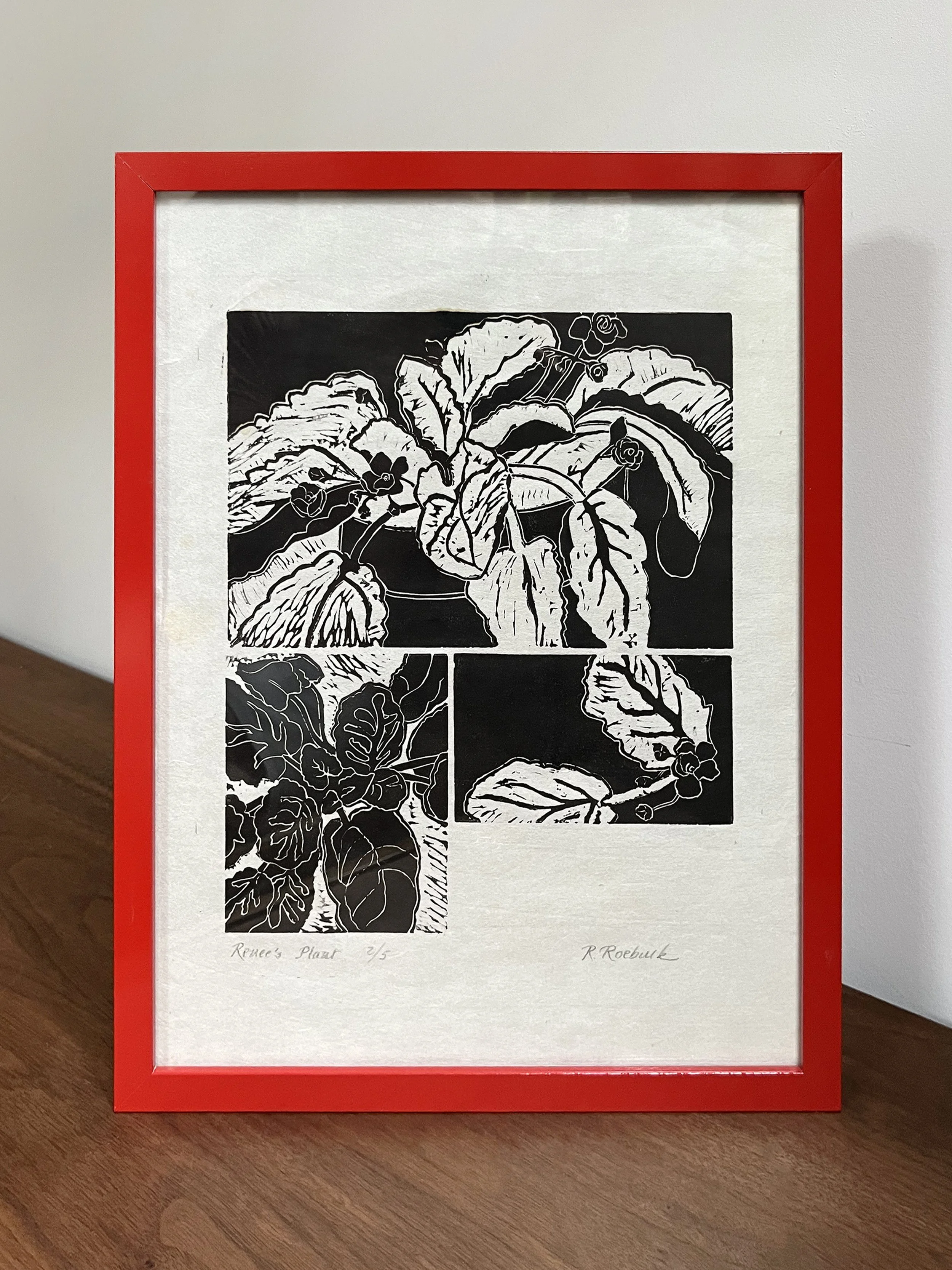 renees_plants.jpg