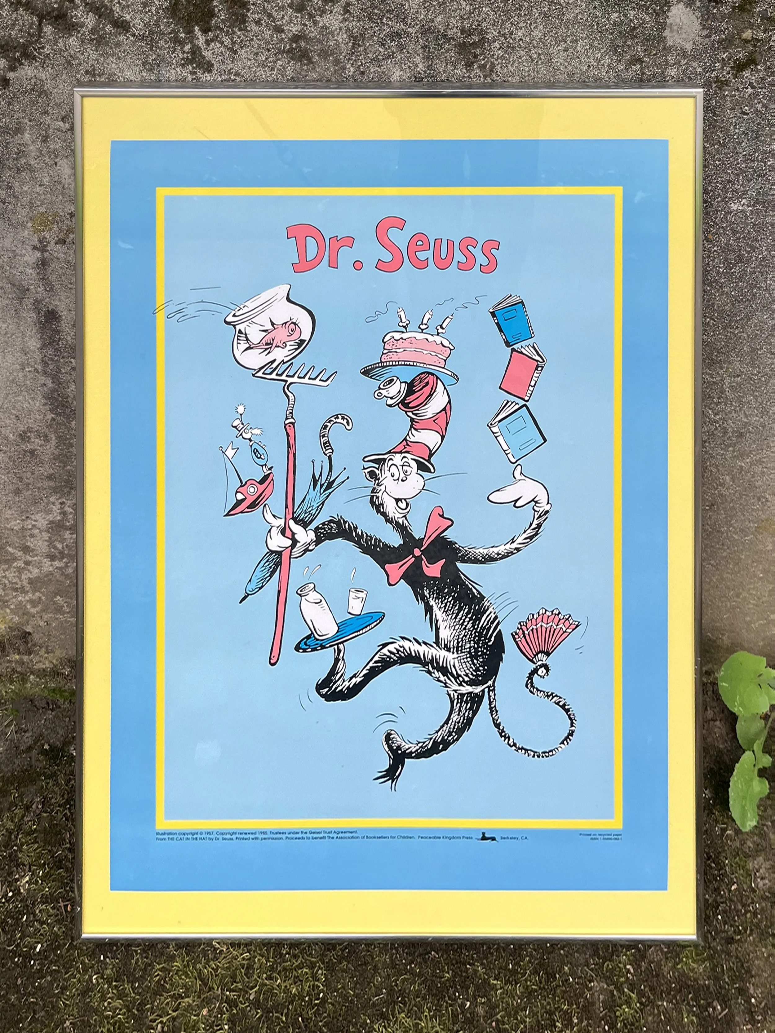dr_seuss_front.jpg