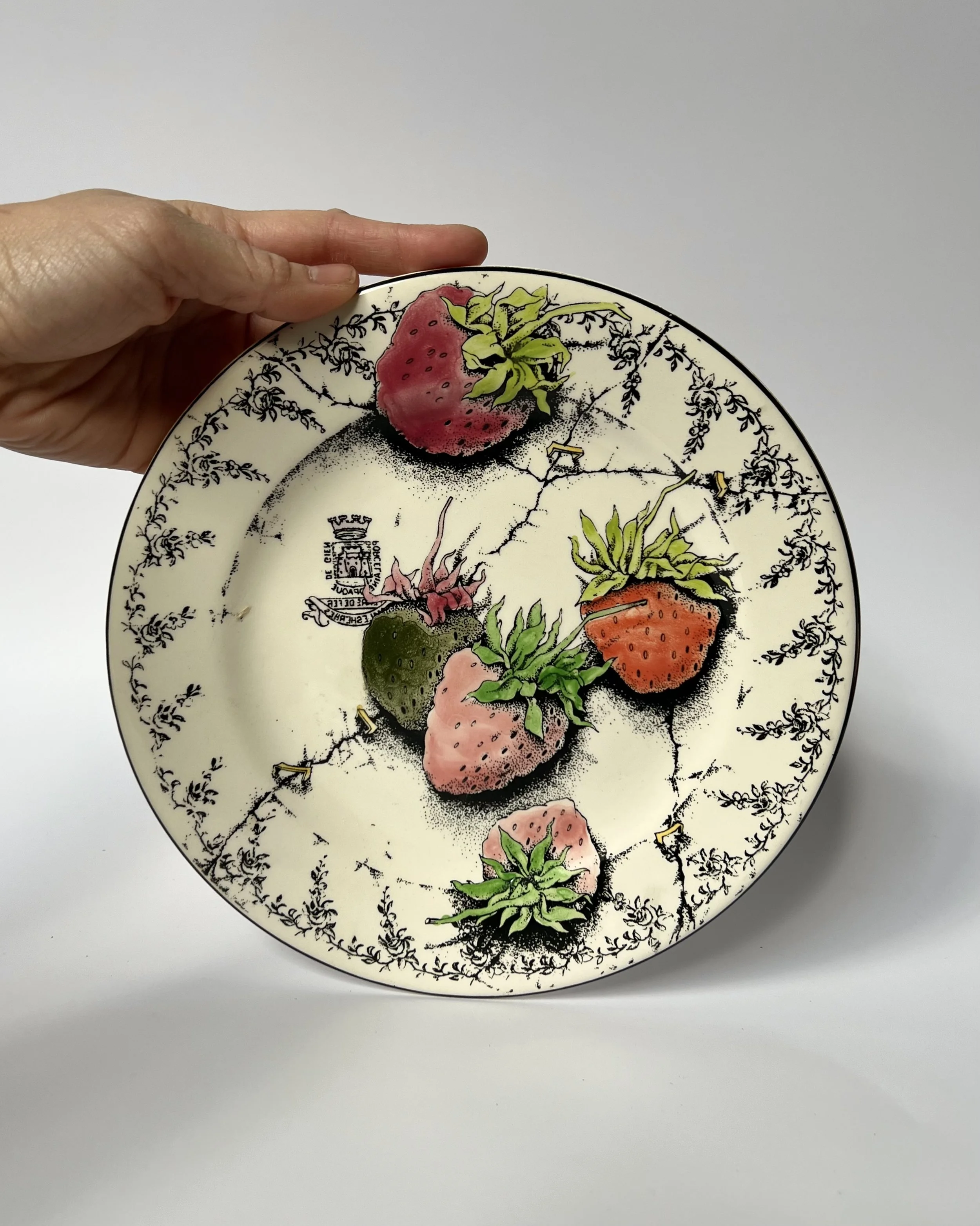 "Fraises En Folie" Gien France Strawberry Plates, Set of 6