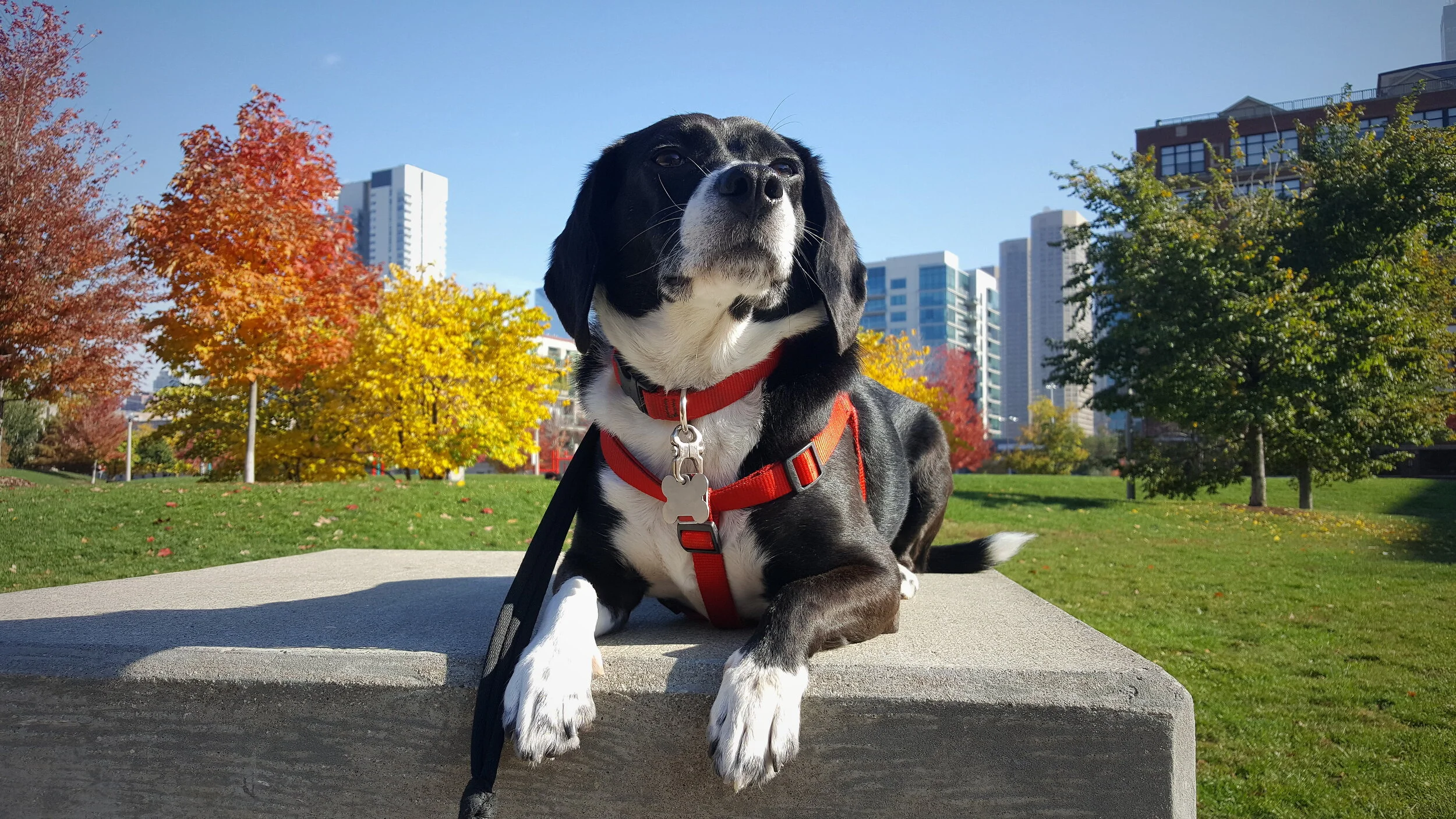 2016-11-03 05.54.34 1.jpg