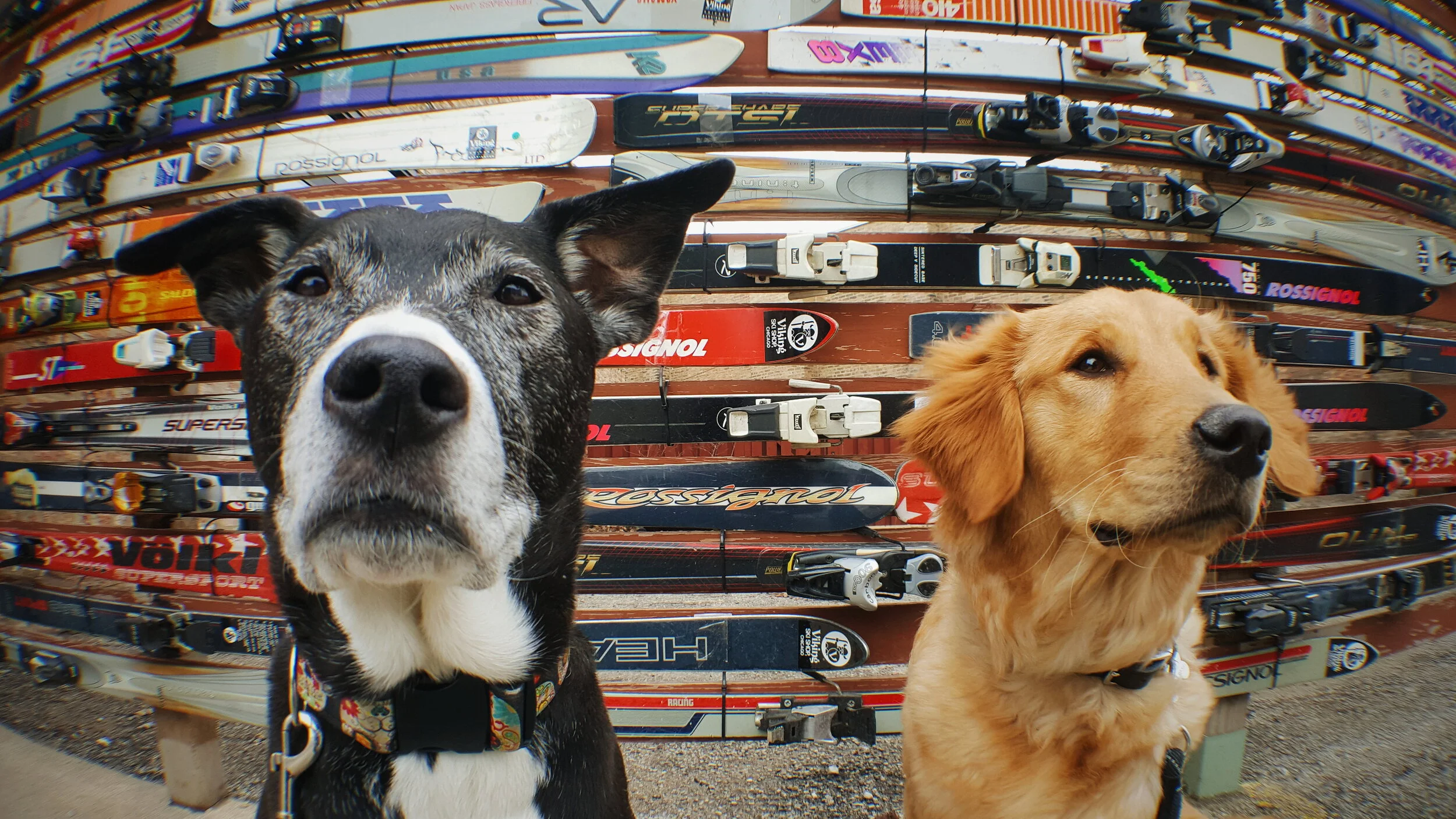 2018-03-31 12.24.52 1.jpg