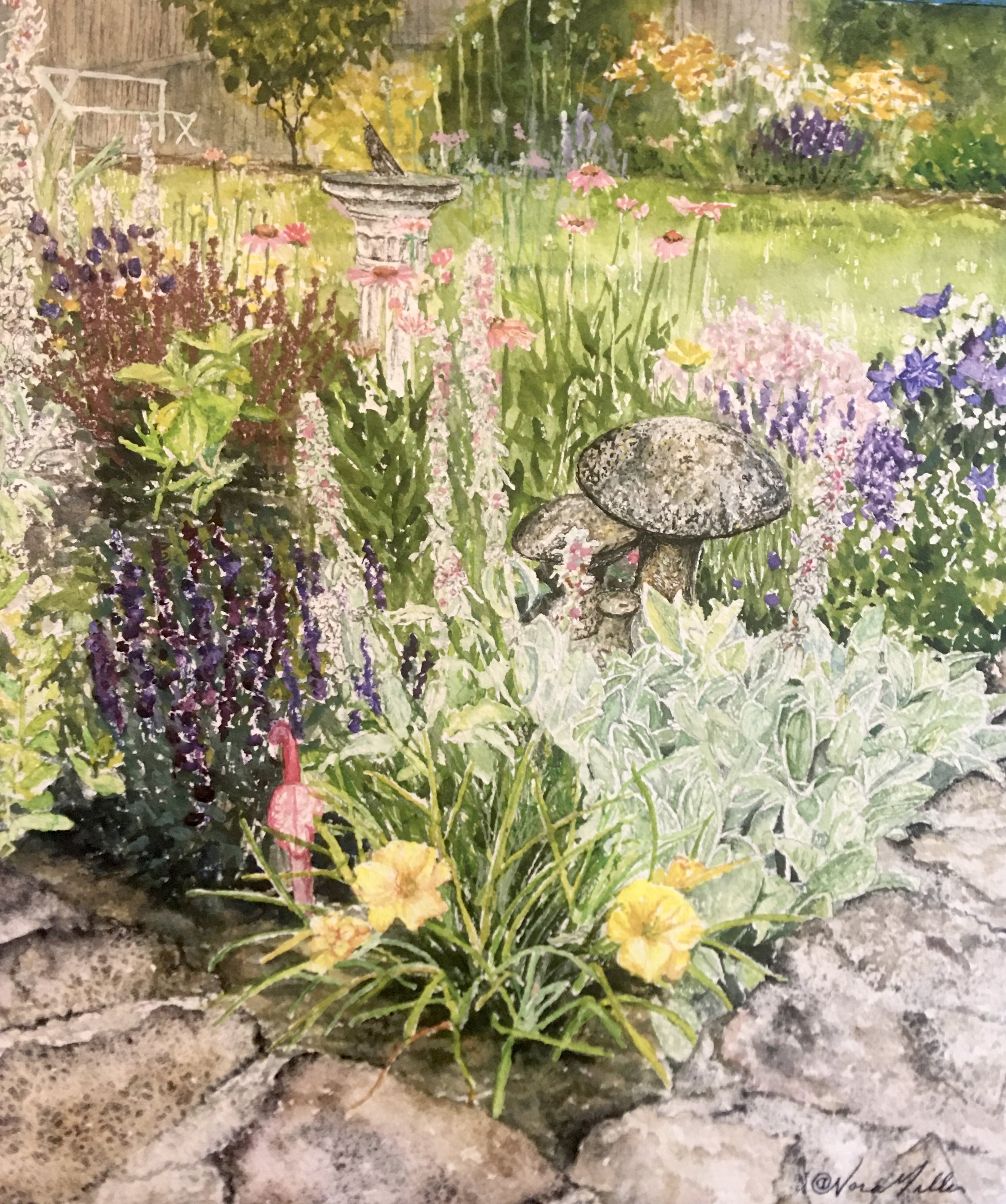 Carol's garden