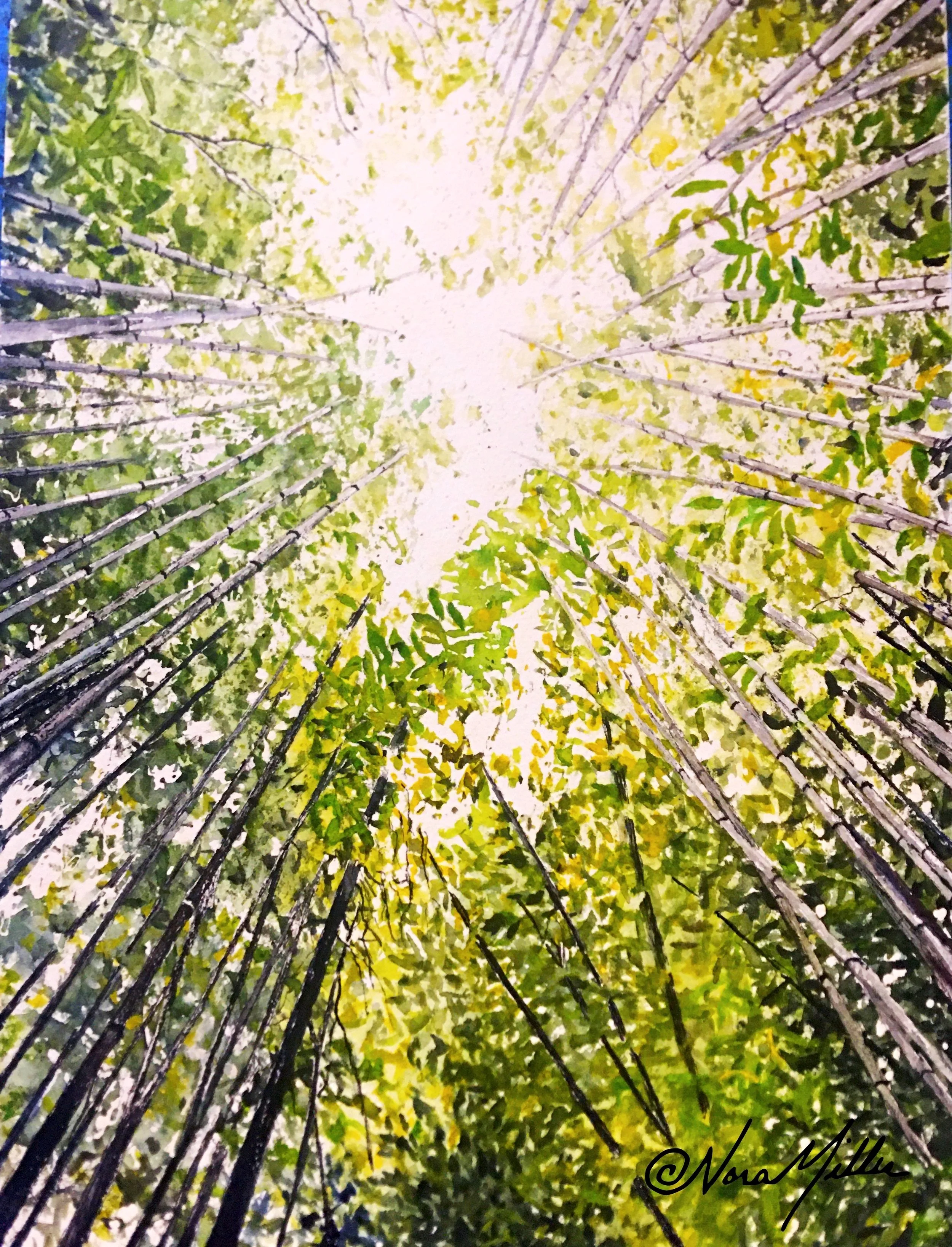 a patch of light